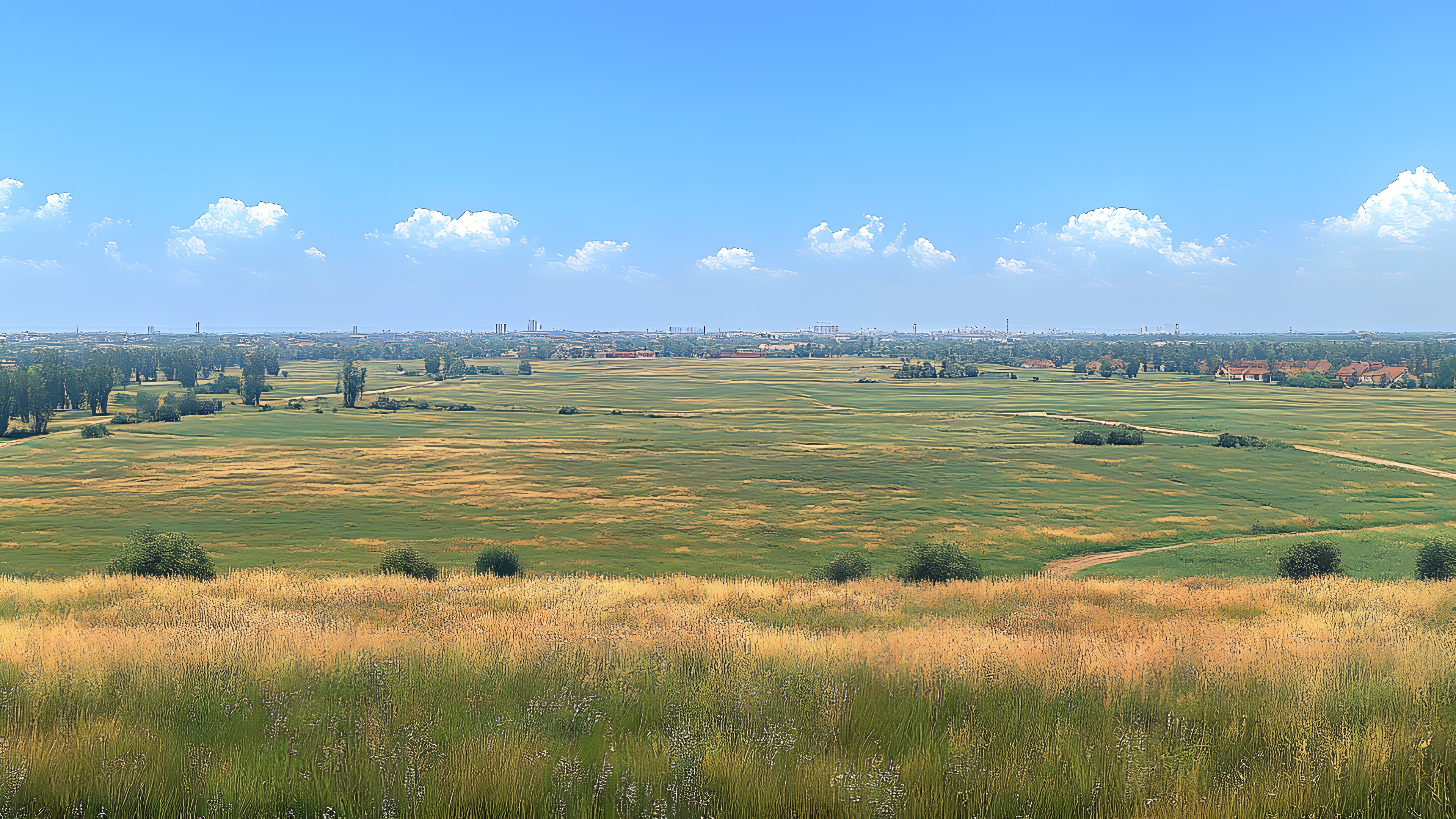 Natural environment, Grassland, Ecoregion, Plain, Natural landscape, Field, Land lot, Prairie, Steppe, Pasture, Grasses, Savanna, Meadow, Shrubland, Plantation, Ranch, Hinterland, Farm, Agriculture, Tundra