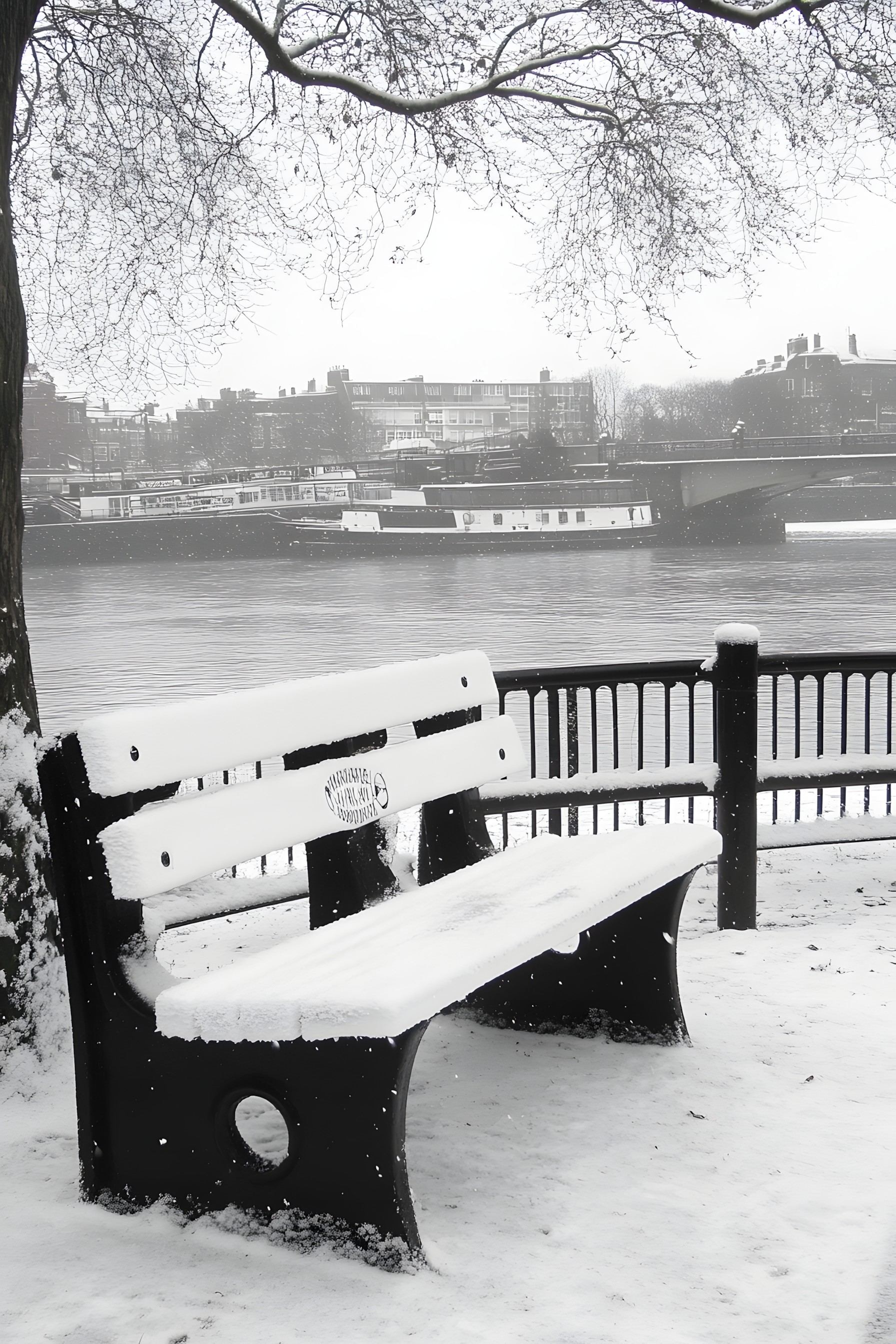 Outdoor Bench, White, Bench, Furniture, Monochrome photography, Snow, Outdoor furniture, Winter, Street furniture, Black and white, Monochrome, Freezing, Grey, Precipitation, Winter storm, Ice, Blizzard