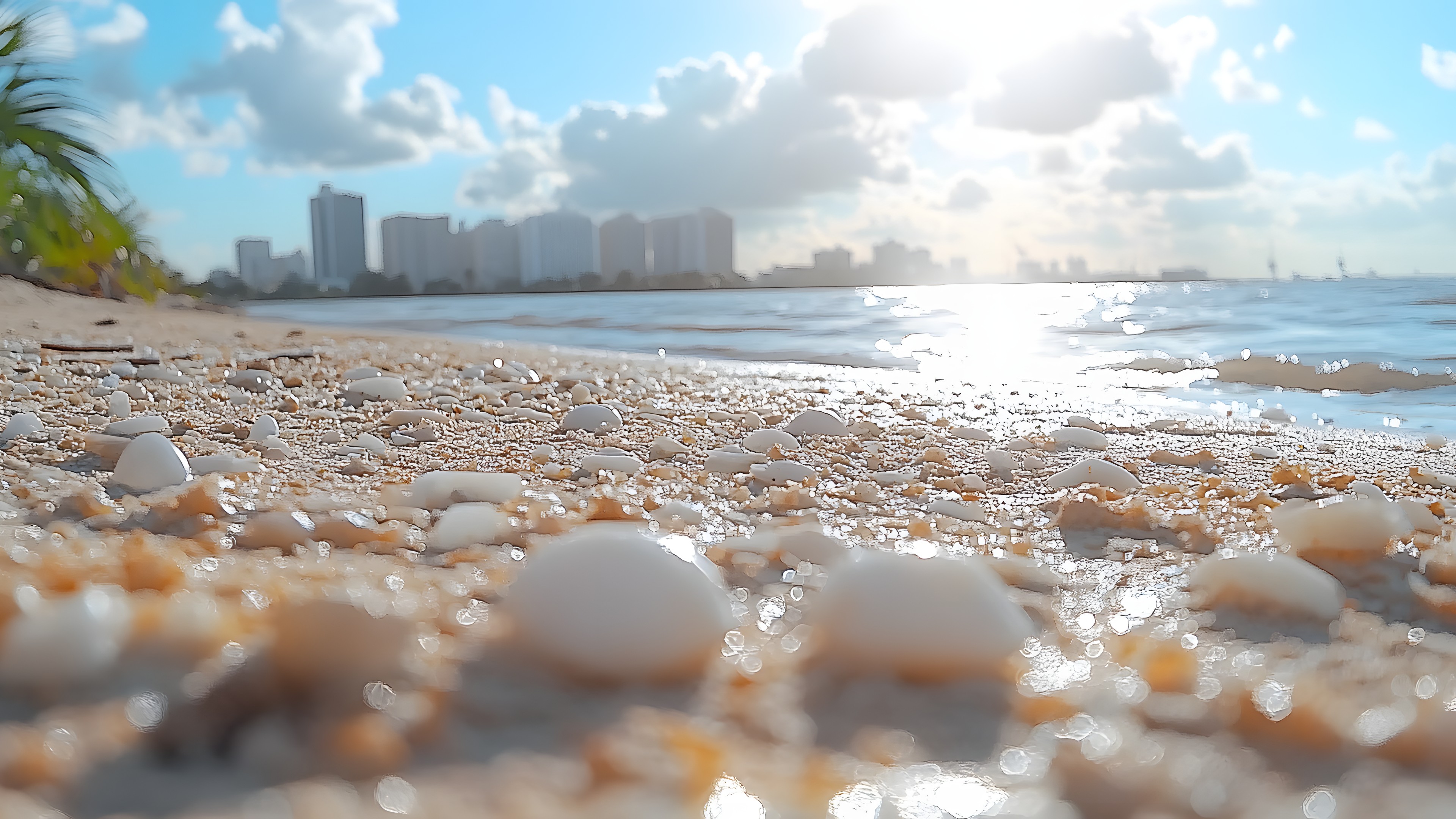Daytime, Cloud, Fluid, Beach, Liquid, Sea, Shore, Coastal and oceanic landforms, Coast, Ocean, Cumulus, Sand, Sunlight, Wind wave, Wave, Tropics, Meteorological phenomenon, Wind, Caribbean, Palm trees