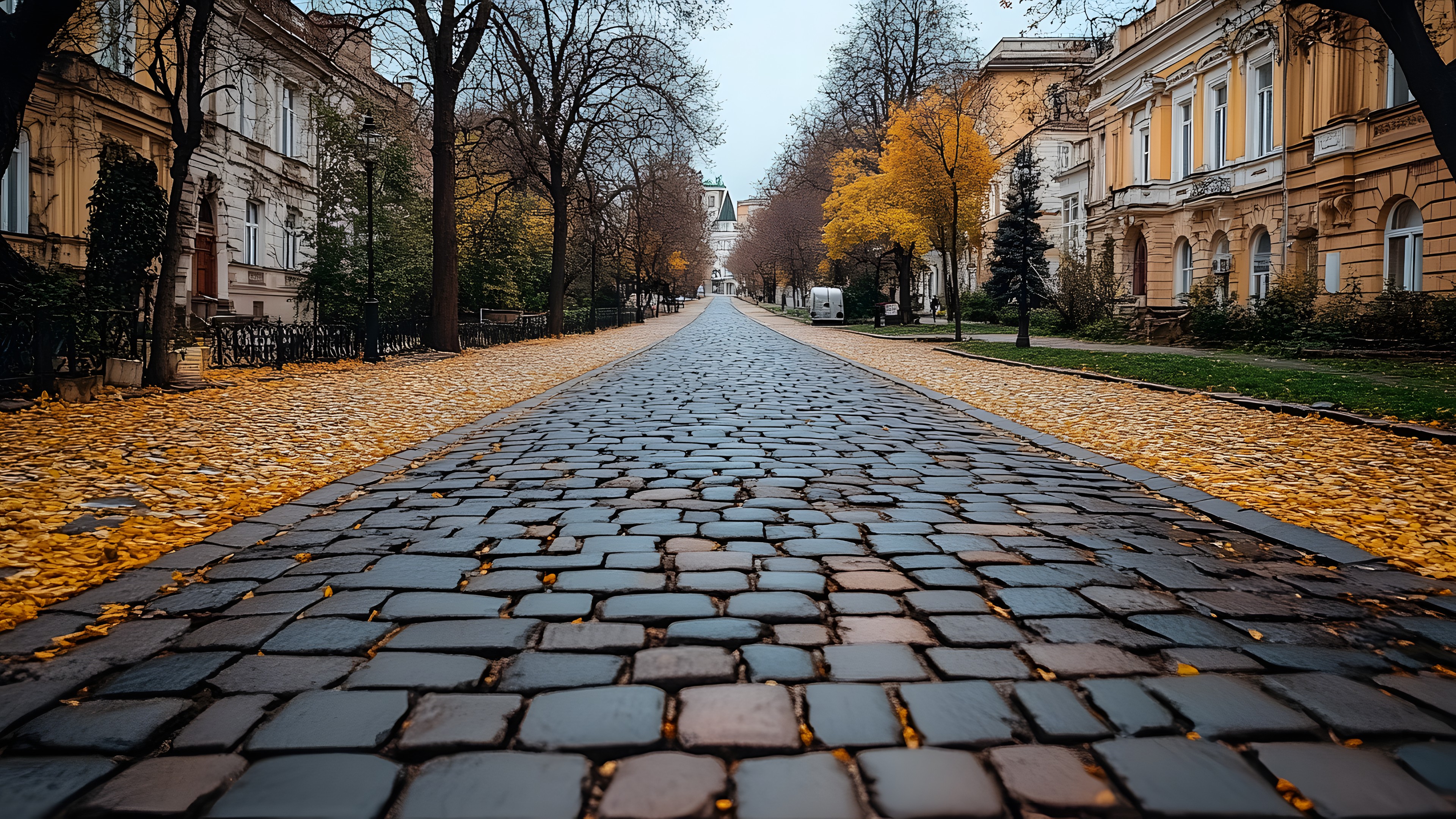 Daytime, Sky, Window, Plant, Road surface, Tree, Asphalt, Building, Sunlight, Grass, Wood, Line, Flooring, Sidewalk, Thoroughfare, Public space, Road, Landscape, City, Natural landscape