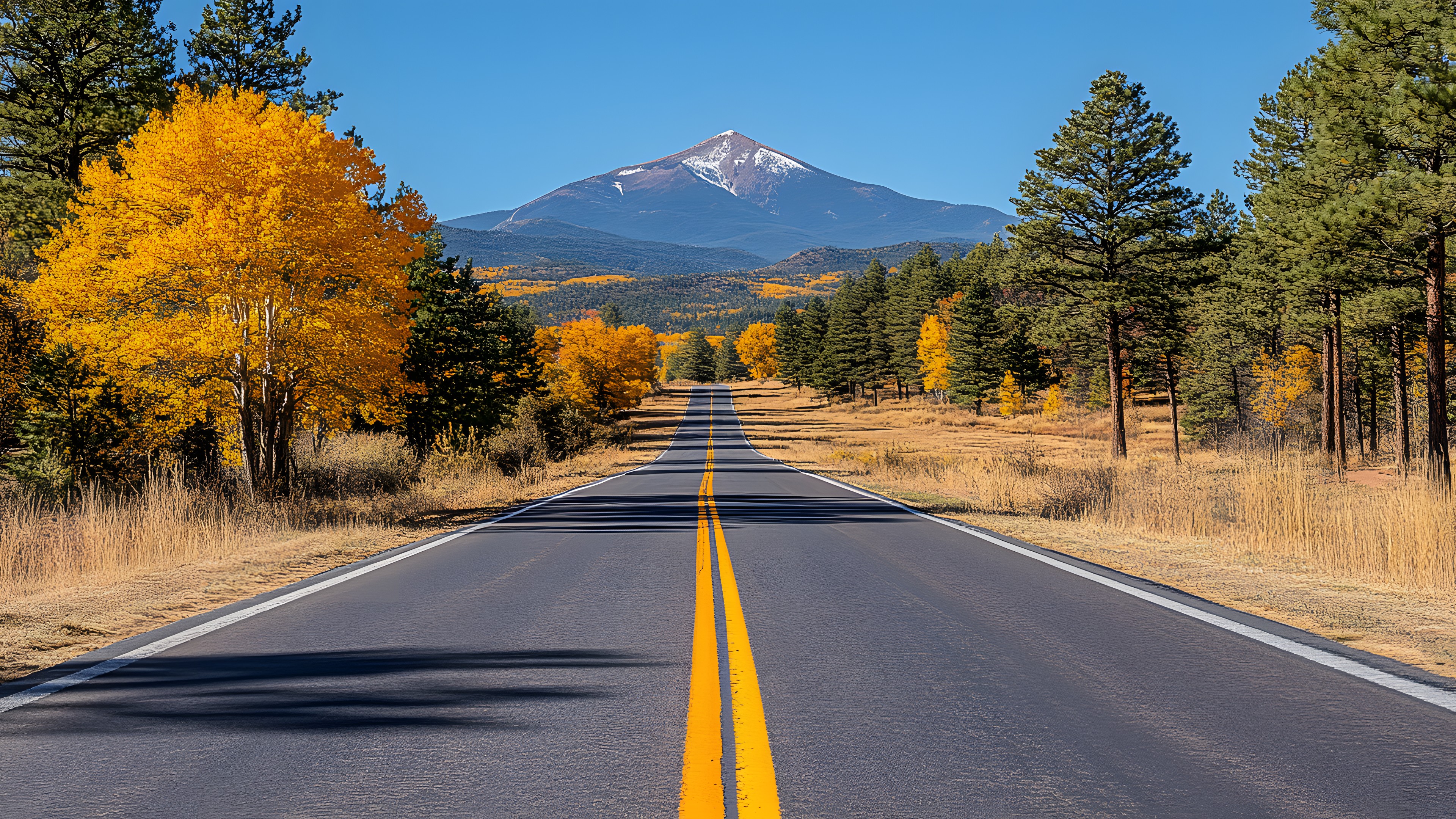 Plant, Sky, Ecoregion, Mountain, Tree, Natural landscape, Road surface, Asphalt, Yellow, Larch, Landscape, Tar, Horizon, Road, Mountain range, Forest, Grass, Shoulder, Conifer, Highway