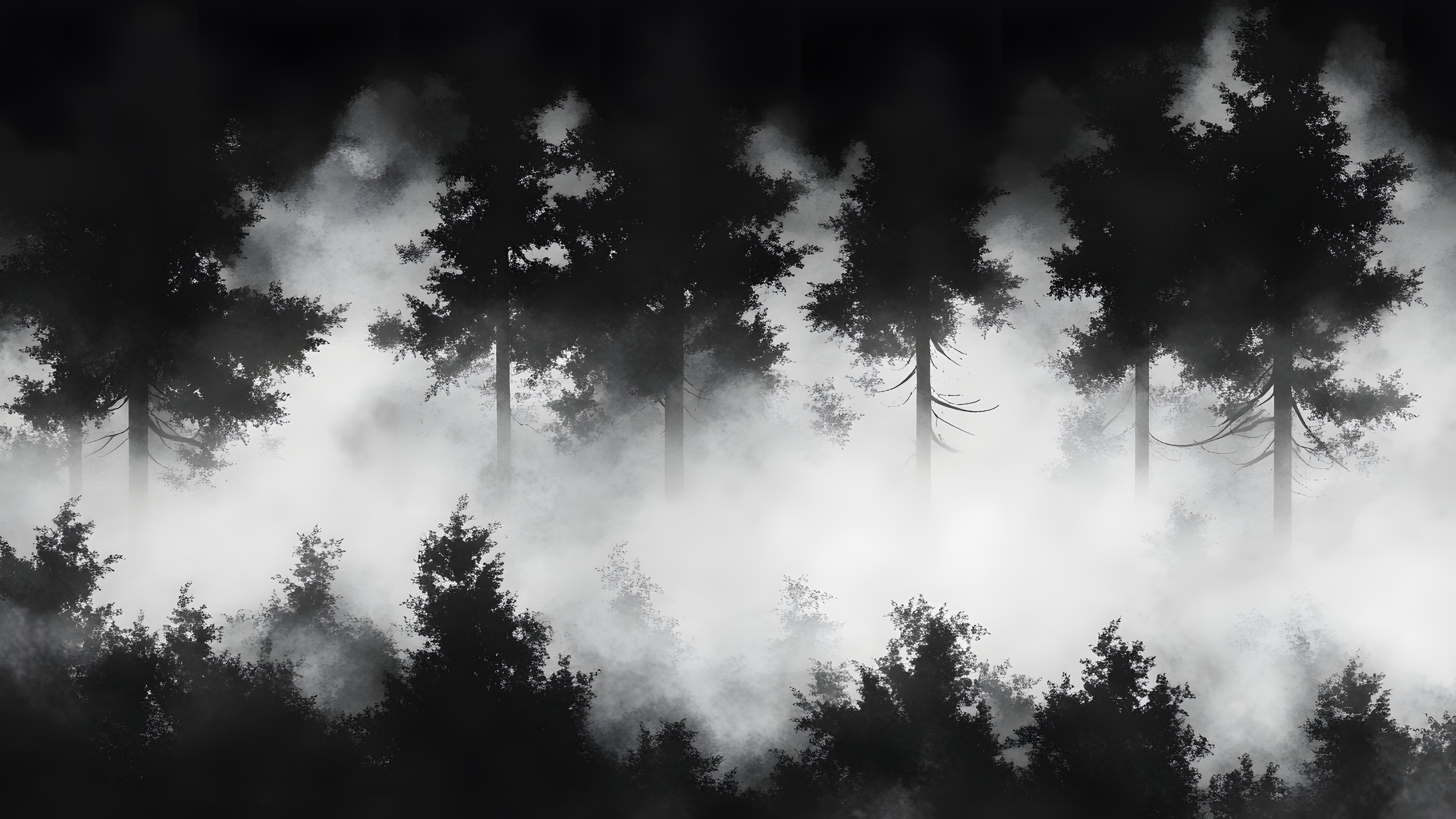 Nature, Branch, Natural environment, atmospheric phenomenon, Monochrome photography, Forest, Fog, Mist, Black and white, Wilderness, Monochrome, Trunk, Spruce-fir forests, Woody plant, Twig, Woodland, Jungle, Tropical and subtropical coniferous forests, Old-growth forest, Northern hardwood forest