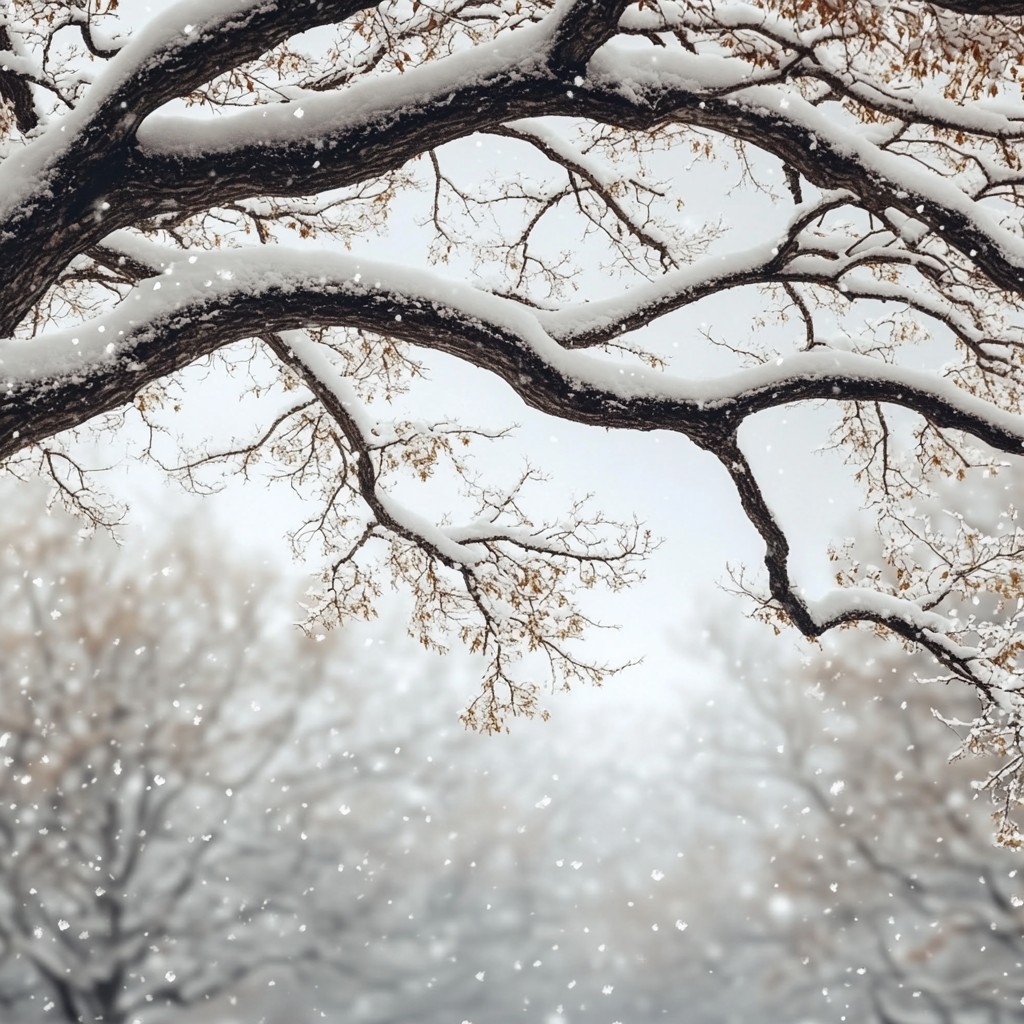 Branch, White, Twig, Winter, atmospheric phenomenon, Snow, Frost, Trunk, Freezing, Woody plant, Monochrome, Winter storm, Precipitation, Natural material, Still life photography, Blizzard, Ice