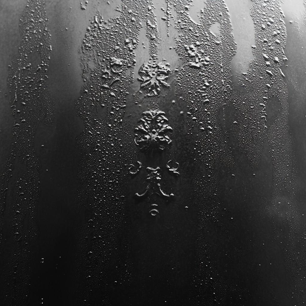 Photograph, White, Fluid, Monochrome photography, Moisture, Liquid, Black, Monochrome, Precipitation, Drop, Black and white, Drizzle, Grey, Silver, Dew, Rain, Still life photography