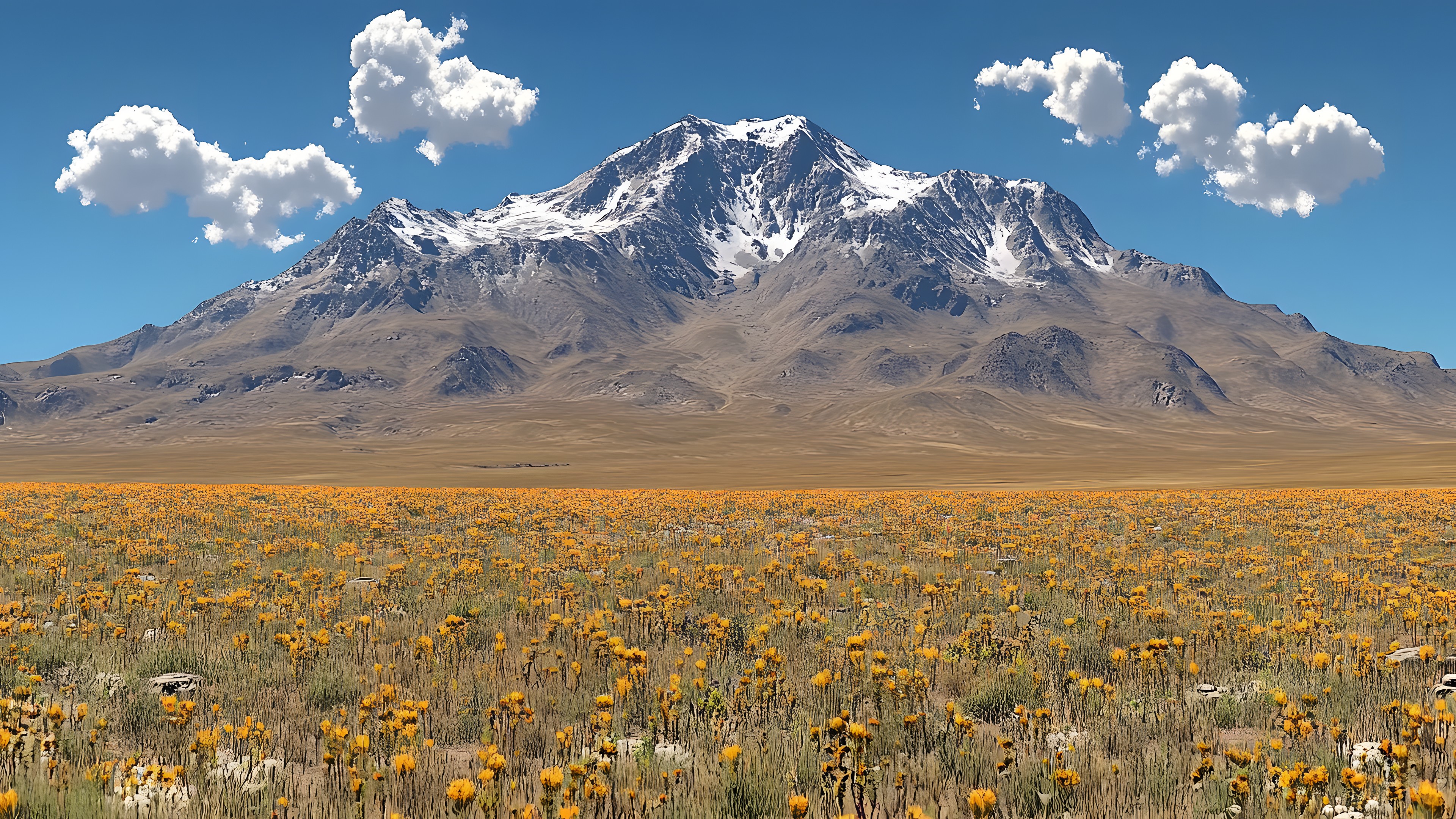 Mountainous landforms, Mountain, Ecoregion, Highland, Mountain range, Hill, Grassland, Wilderness, Steppe, Plain, Prairie, Summit, Ridge, Meadow, Field, Glacial landform, Pasture, Fell, Valley, Shrubland