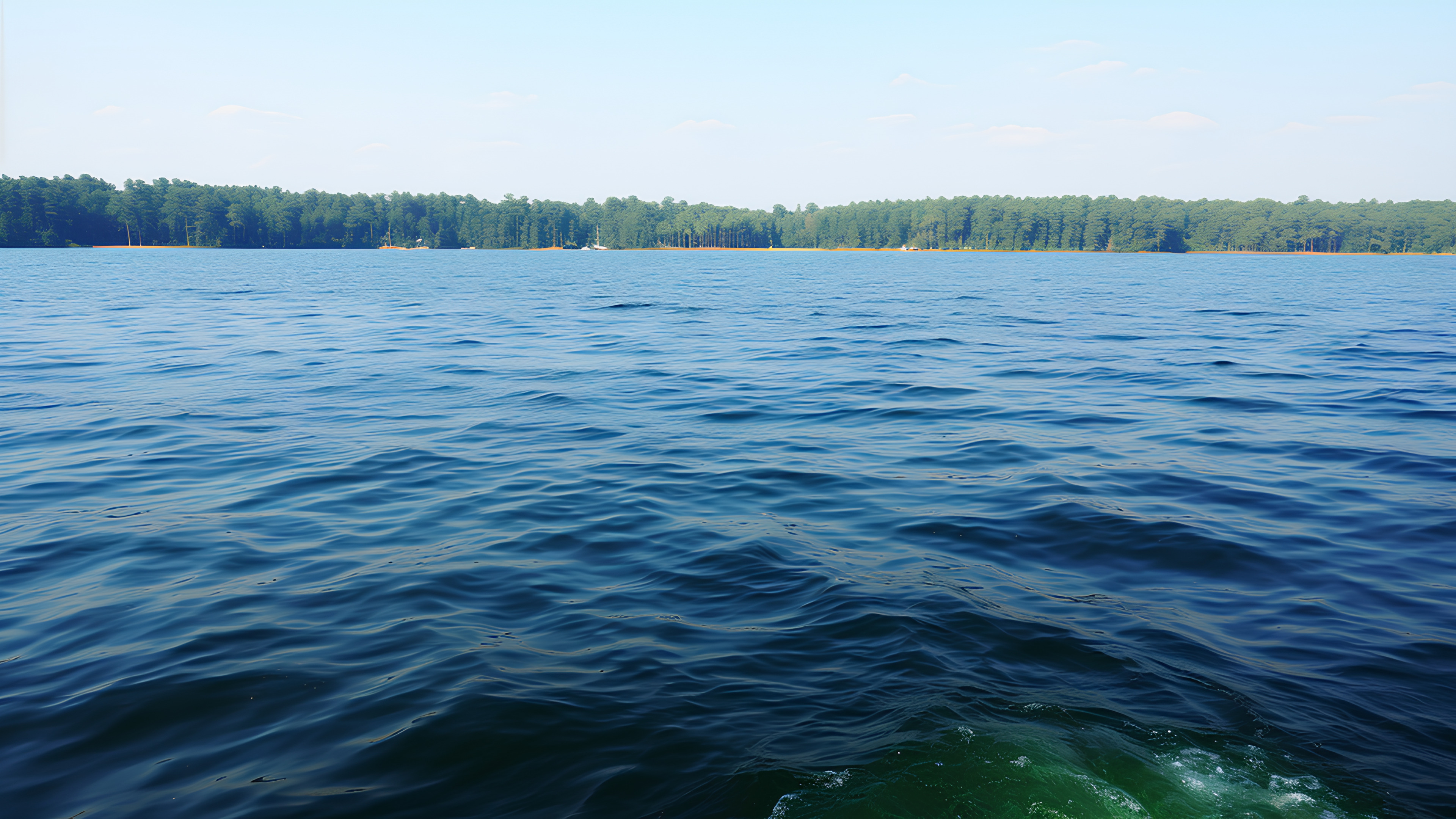 Water, Sky, Water resources, Liquid, Fluid, Natural landscape, Lake, Tree, Horizon, Waterway, Calm, Reservoir, Plant, Electric blue, Sound, Lake district, Loch, Wind wave, Ocean, Reflection