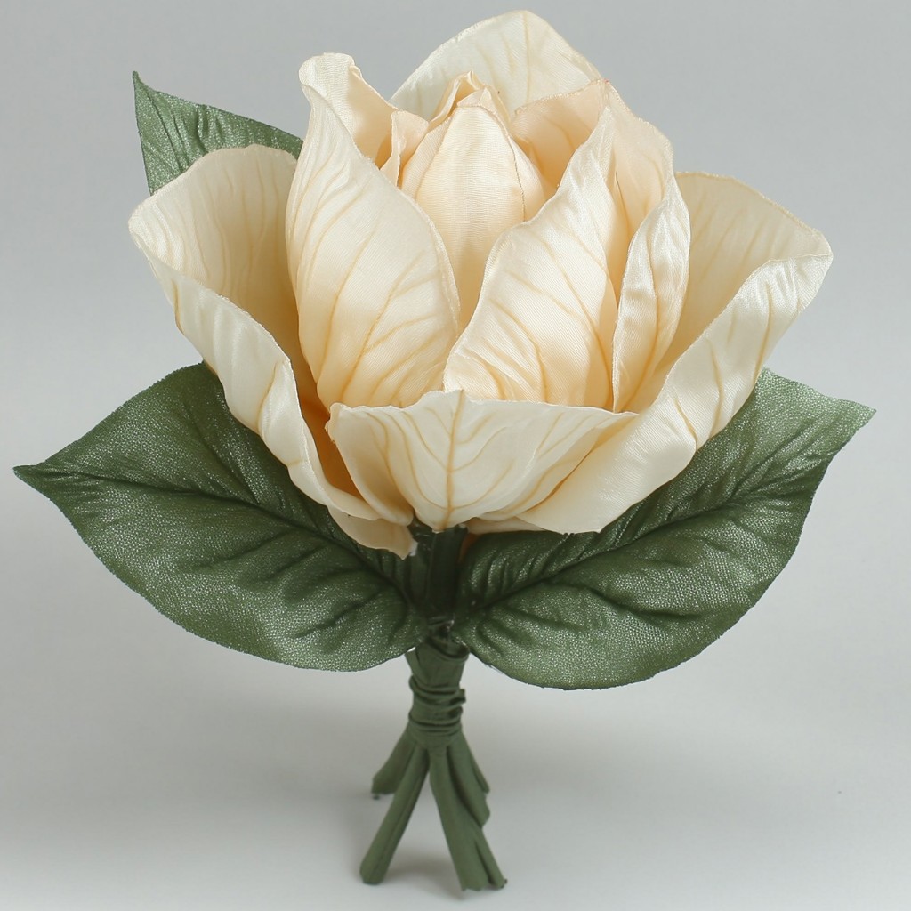 Petal, Artificial flower, Rose, Rose family, Magnolia family, Magnolia