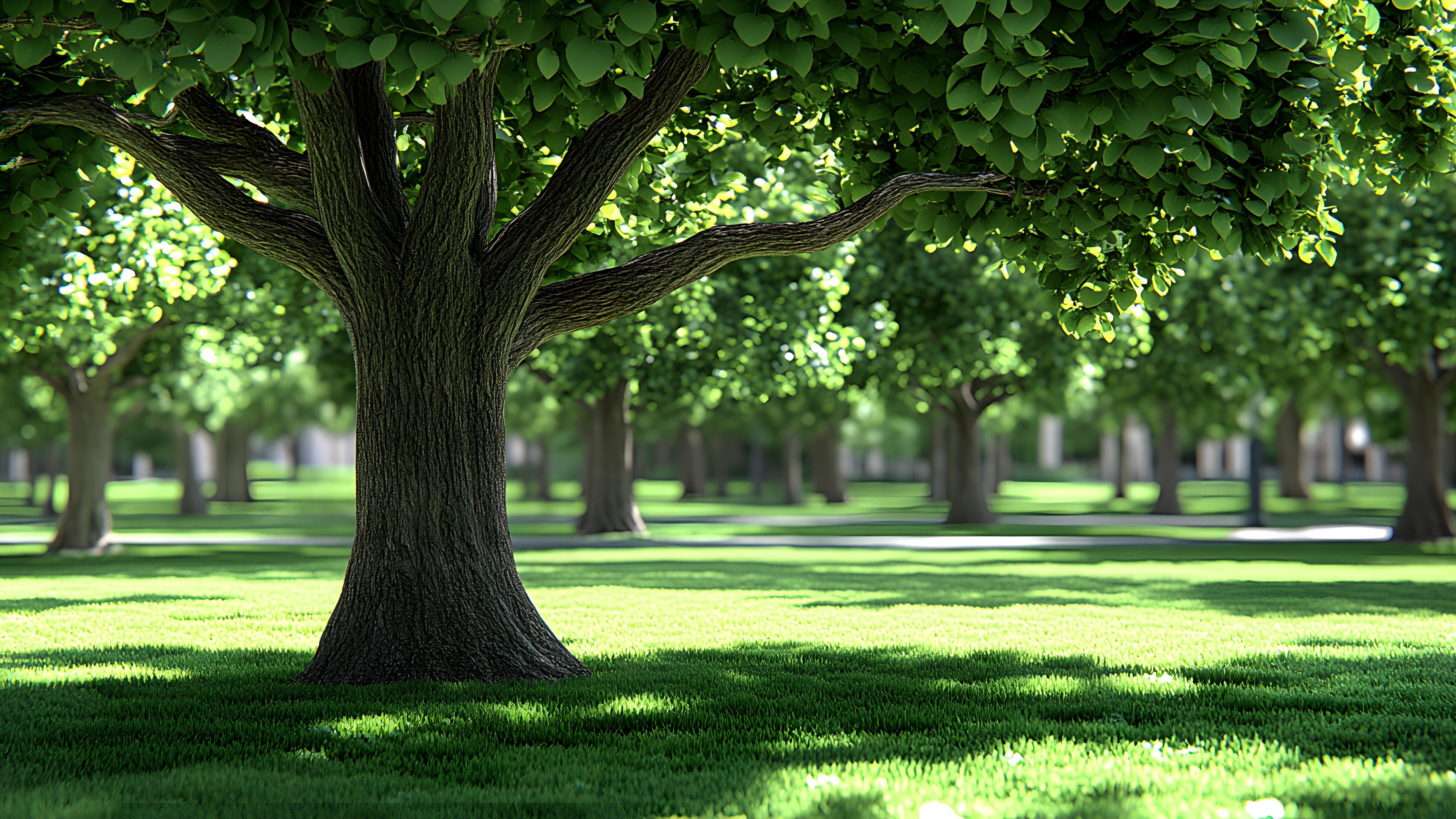 Grass, Green, Leaf, Tree, Nature, Natural environment, Branch, Vegetation, Grassland, Trunk, Shade, Lawn, Grasses, Groundcover, Spring, Woody plant, Sunlight, Garden, Meadow, Park
