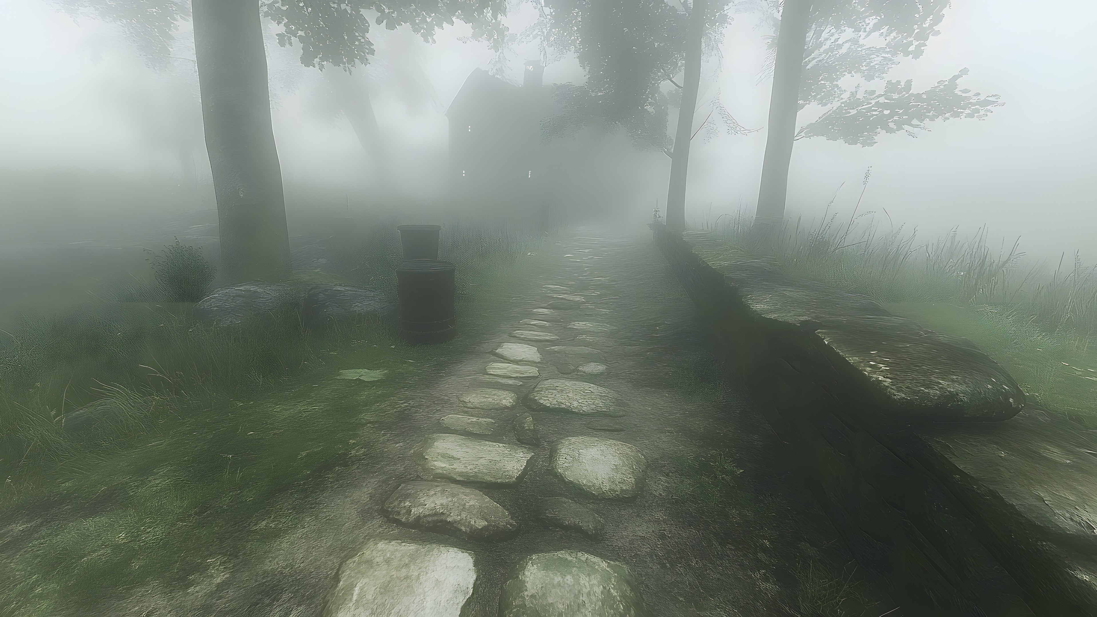 atmospheric phenomenon, Fog, Mist, Haze, Morning, Trail, Walkway, Moss, Old-growth forest, Path