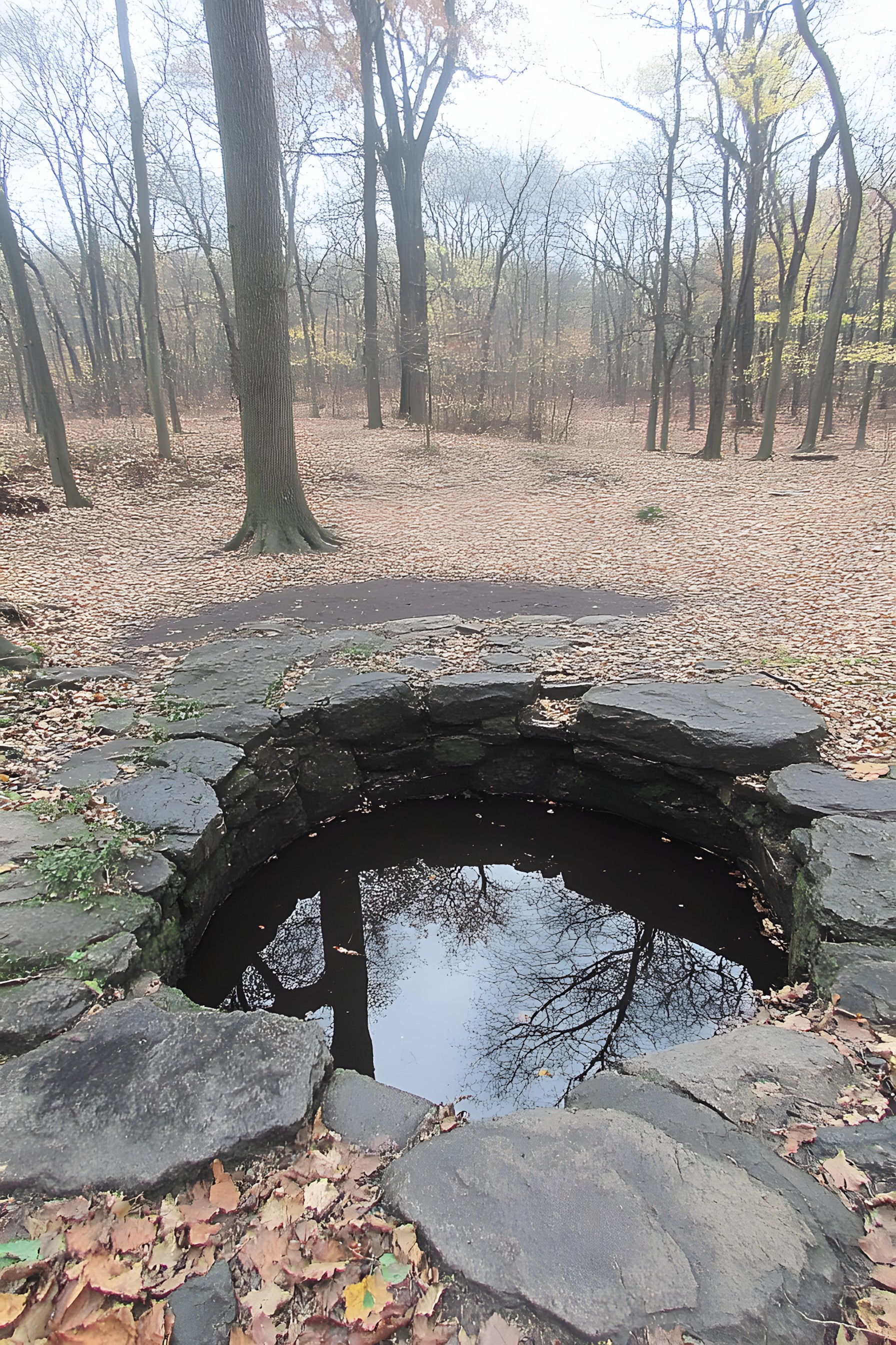 Reflection, Pond, Wetland, Reservoir, Lacustrine plain, Bog, Stream, Spring