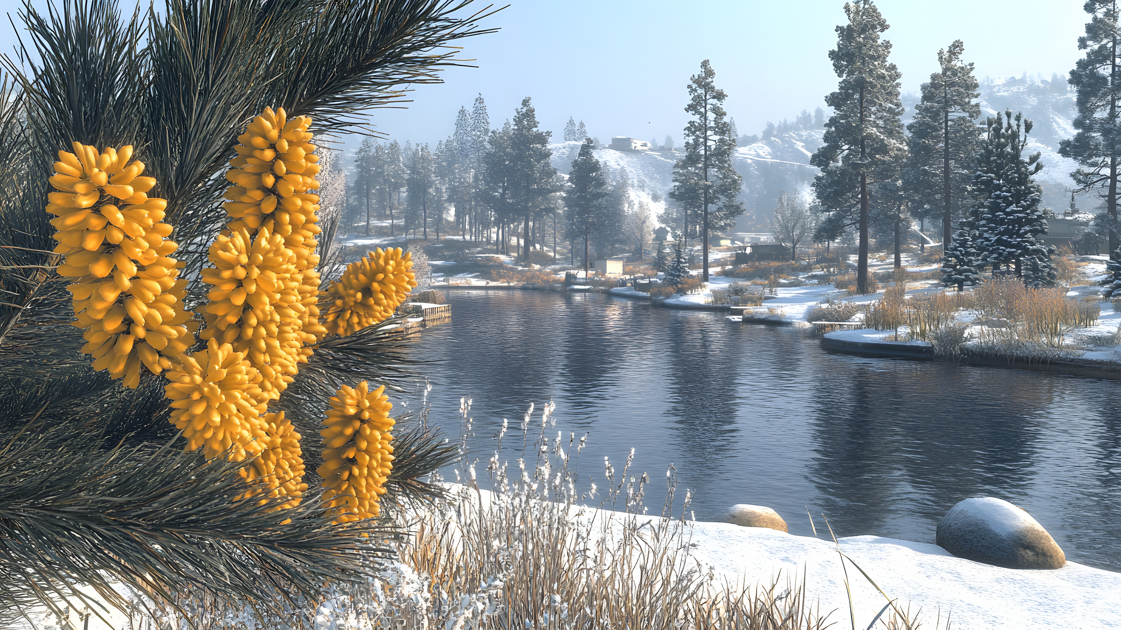 Winter, Bank, Reflection, Larch, Forest, Freezing, Lake, Snow, Spruce-fir forests, Conifers, Ponderosa pine, Frost, Pine, Pine family, Riparian zone, Evergreen, Fir, Alpine larch, Cupressaceae, Wetland