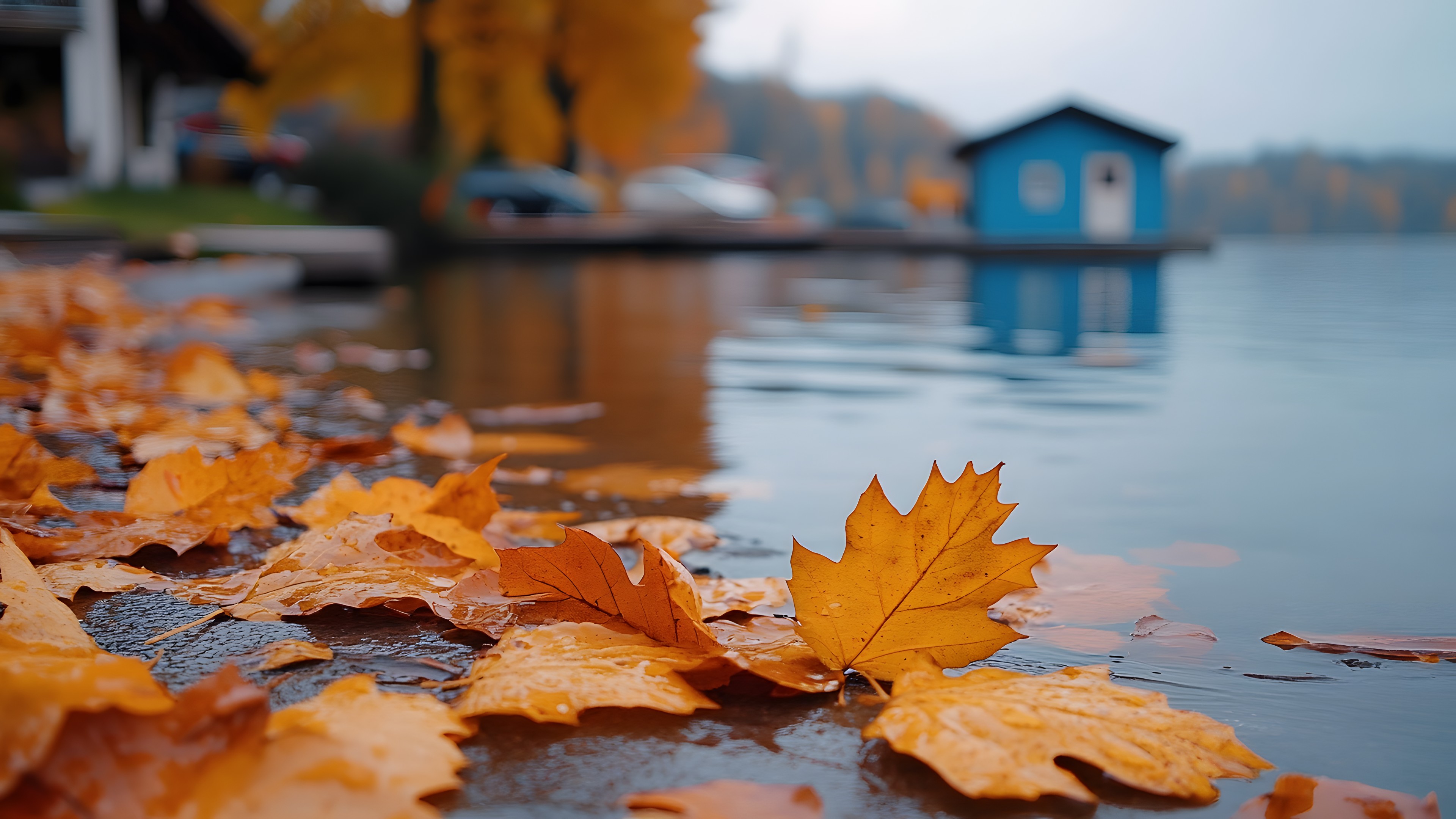 Water, Sky, Leaf, Natural landscape, Nature, Building, Orange, Branch, Lake, Yellow, Sunlight, Body of water, Wood, Tree, Watercourse, Biome, Twig, Morning, Woody plant, Deciduous