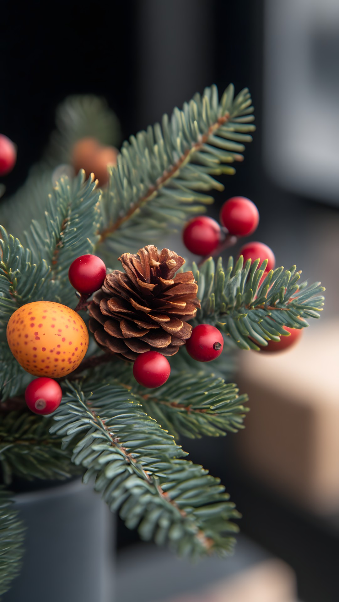 Conifer cone, Conifers, Christmas decoration, Berry, Holiday, Pine, Pine family, Christmas Day, Fir, Evergreen, Christmas tree, Cupressaceae, Floral design, Spruce, Fruit, Ponderosa pine, Mountain-ash, Douglas fir