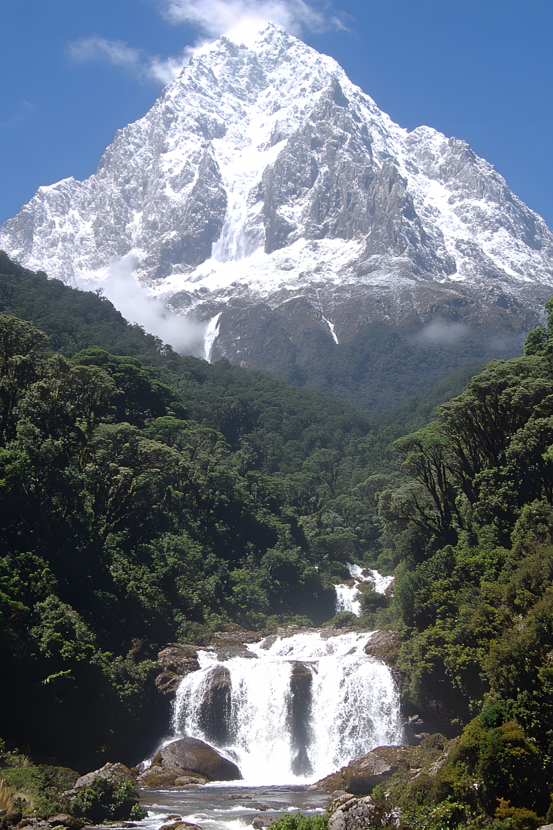 Mountainous landforms, Mountain, Natural landscape, Hill, Highland, Hill station, Landscape, Mountain range, Forest, Valley, Nature reserve, Jungle, Ridge, Fell, Summit, Alps, Slope, Glacial landform, Massif, Valdivian temperate rain forest