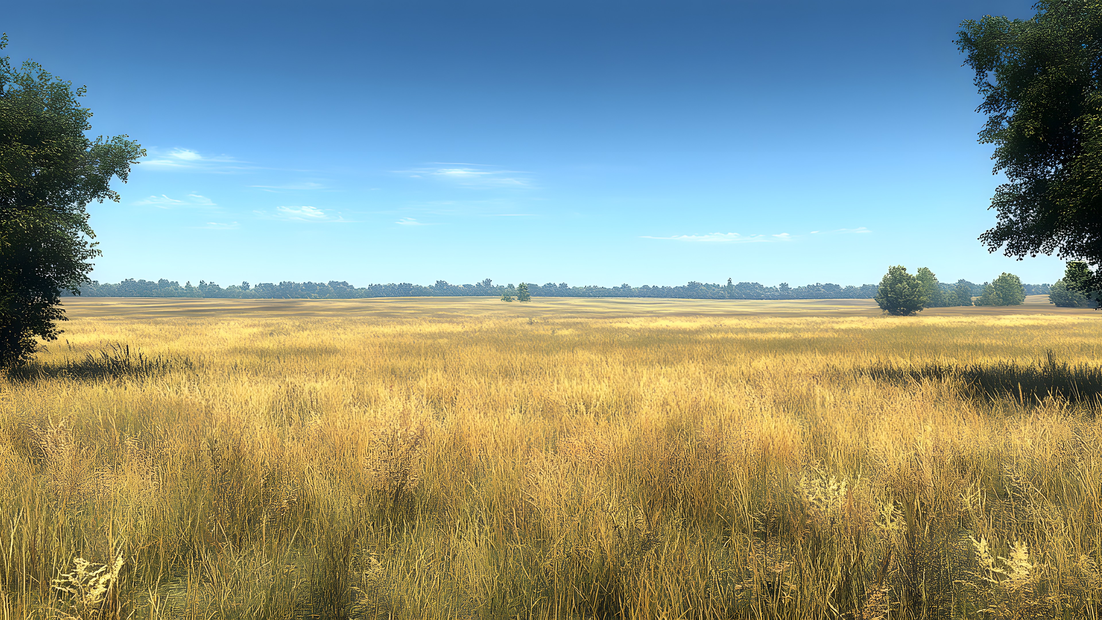 Grass, Natural environment, Grassland, Plain, Ecoregion, Natural landscape, Field, Prairie, Cloud, Steppe, Land lot, Meadow, Savanna, Grasses, Pasture, Agriculture, Shrubland, Sunlight, Crop, Cumulus