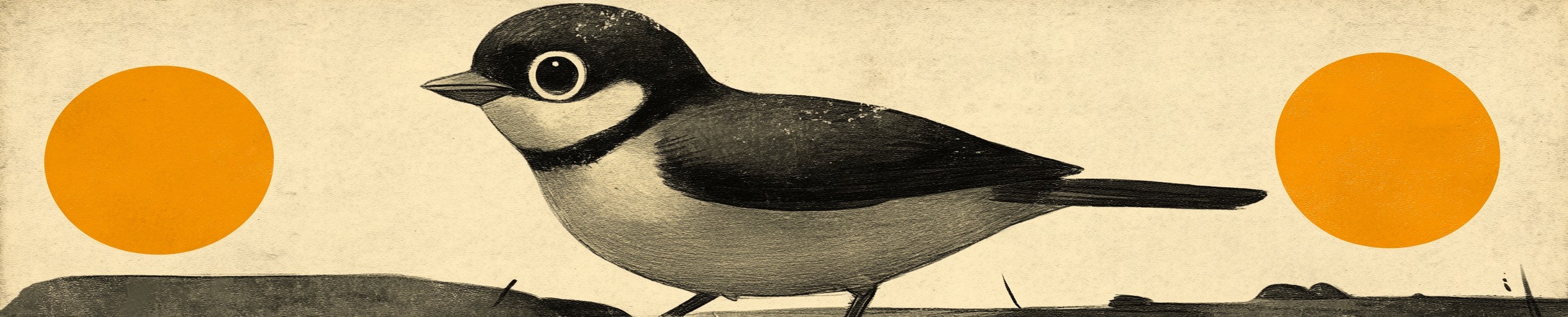 Bird, Beak, Feather, Songbirds, Passerine, Graphics, Old world flycatchers
