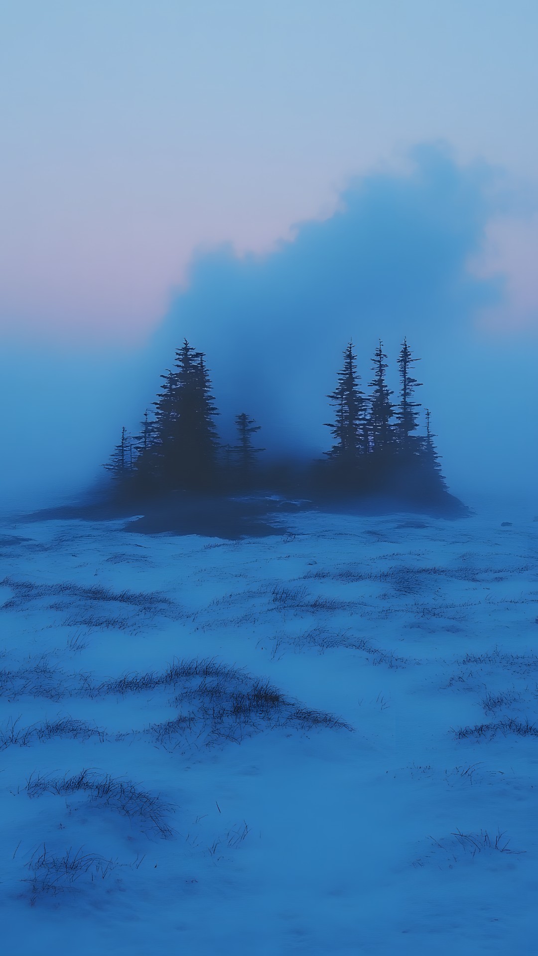 atmospheric phenomenon, Winter, Larch, Spruce-fir forests, Fog, Freezing, Mist, Conifers, Evening, Pine family, Fir, Evergreen, Pine, Cupressaceae, Tropical and subtropical coniferous forests, Black spruce, Snow, Haze