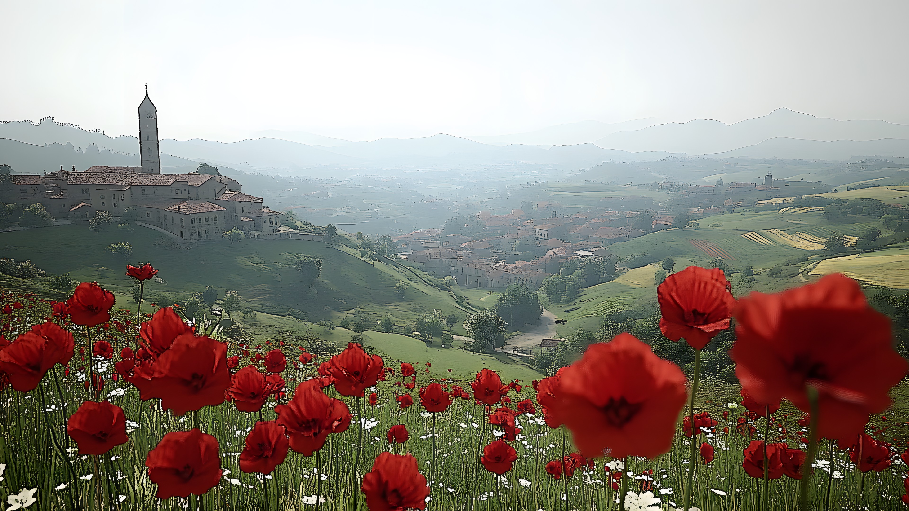 Grassland, Field, Meadow, Plantation, Wildflower, Poppies