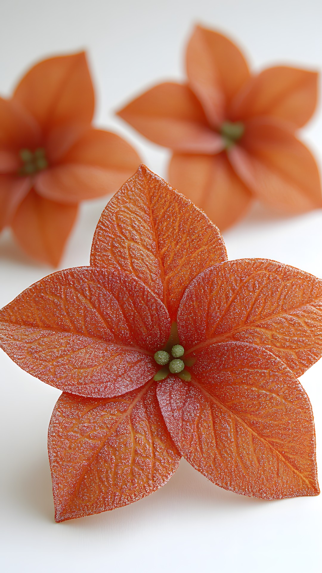 Flower, Petal, Orange, Paper, Paper Product, Creative arts, Origami, Artificial flower, Art Paper, Craft, Cut flowers, Origami paper, Laceleaf, Geraniums