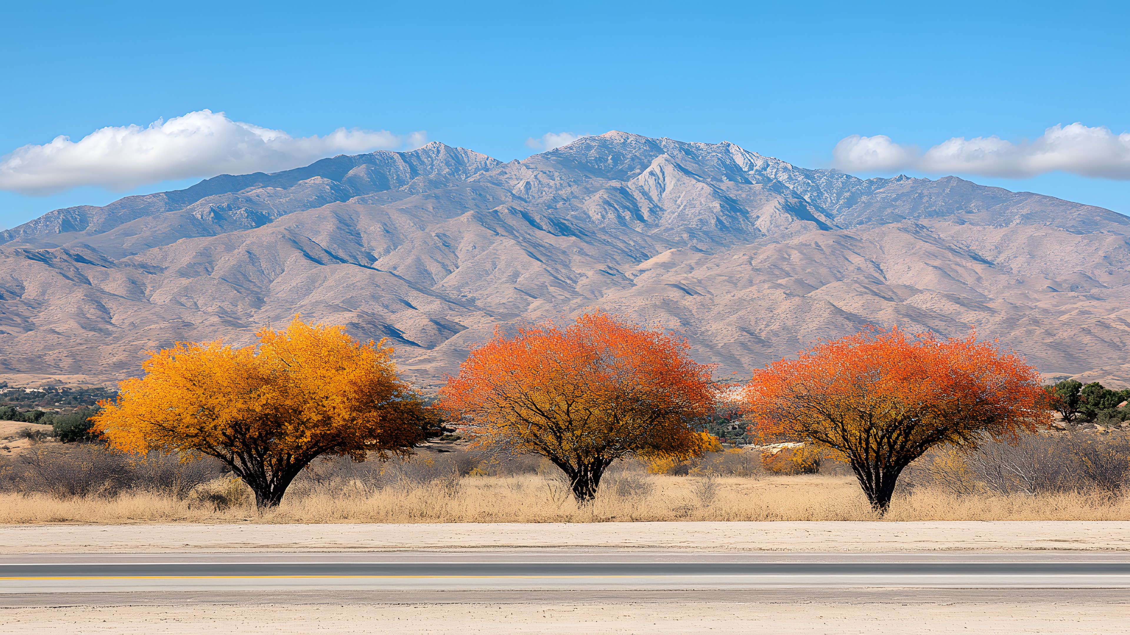 Mountain, Mountainous landforms, Hill, Ecoregion, Mountain range, Highland, Landscape, Wilderness, Plant community, Terrain, Ridge, Valley, Badlands, Fell, Geology, Shrubland, Steppe, Summit, Massif, Savanna