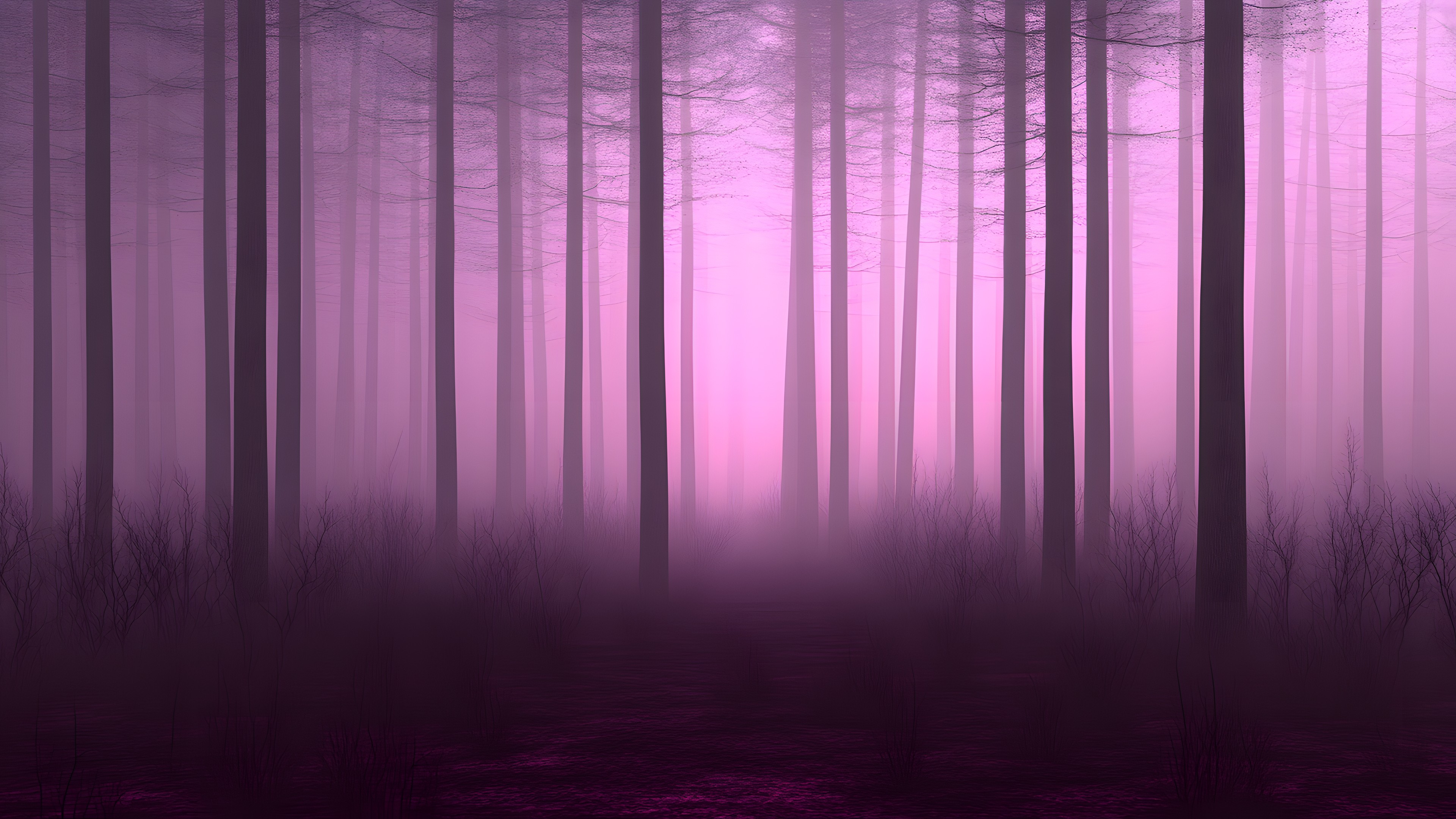 atmospheric phenomenon, Wood, Forest, Mist, Fog, Woodland, Northern hardwood forest, Trunk, Spruce-fir forests, Old-growth forest, Grove, Haze, Jungle, Temperate broadleaf and mixed forest, Tropical and subtropical coniferous forests, Sunrise, Dawn