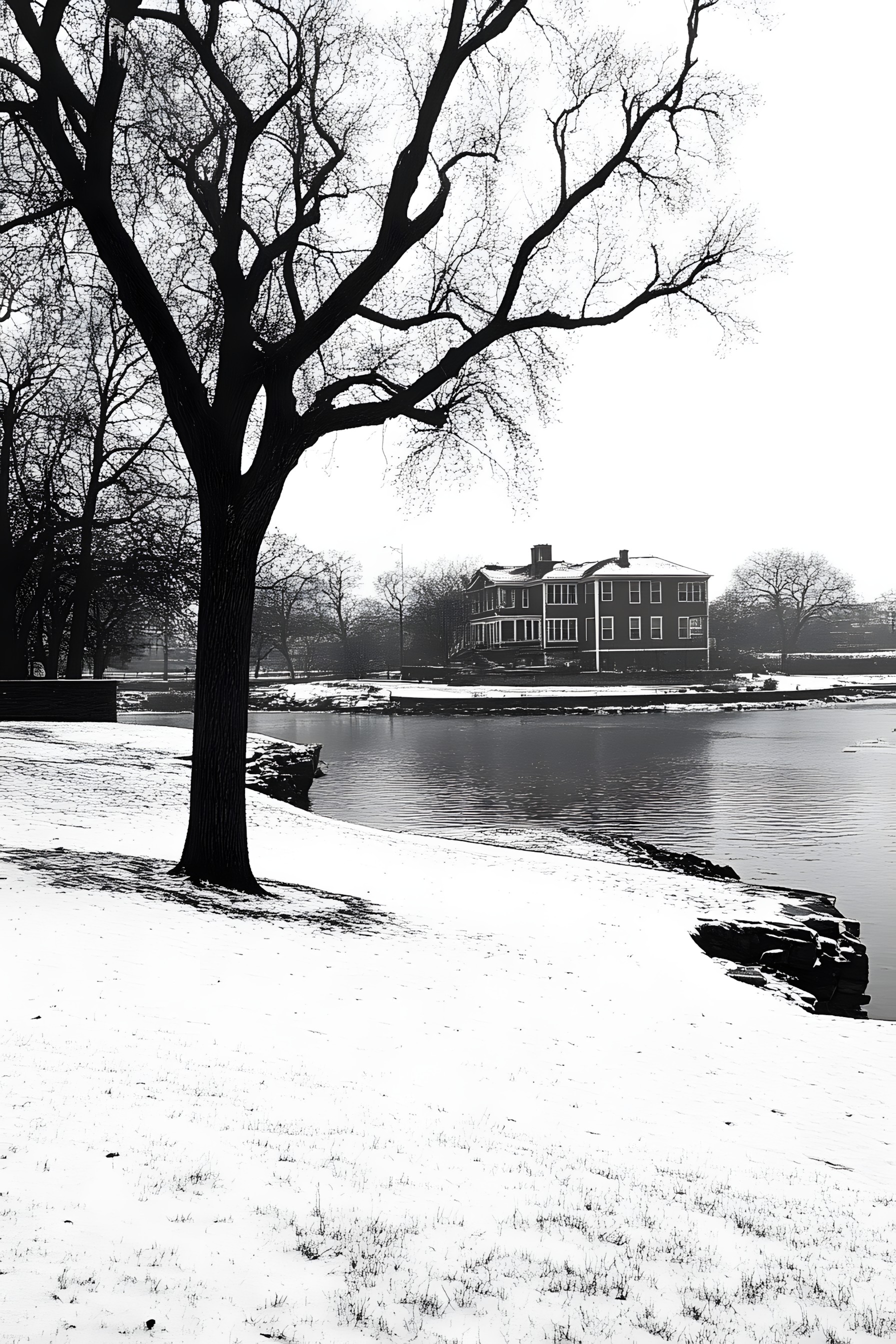 Photograph, Monochrome photography, Black, Black and white, Monochrome, Winter, Trunk, Snow, Freezing, Loch, Lake District