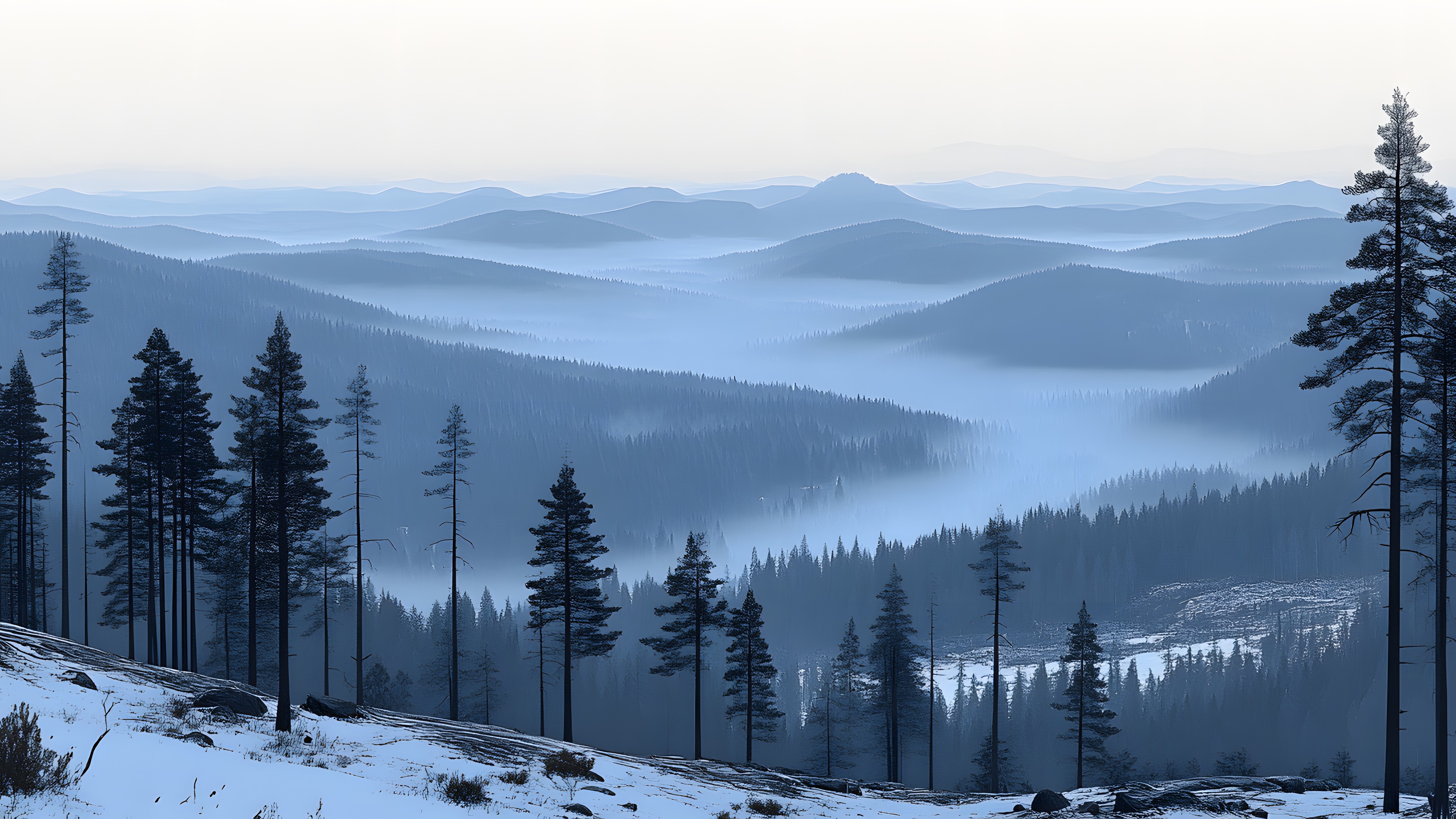 Mountainous landforms, Mountain, atmospheric phenomenon, Spruce-fir forests, Hill, Wilderness, Winter, Forest, Highland, Mountain range, Hill station, Larch, Snow, Ridge, Freezing, Morning, Valley, Black spruce, Mist, Fog