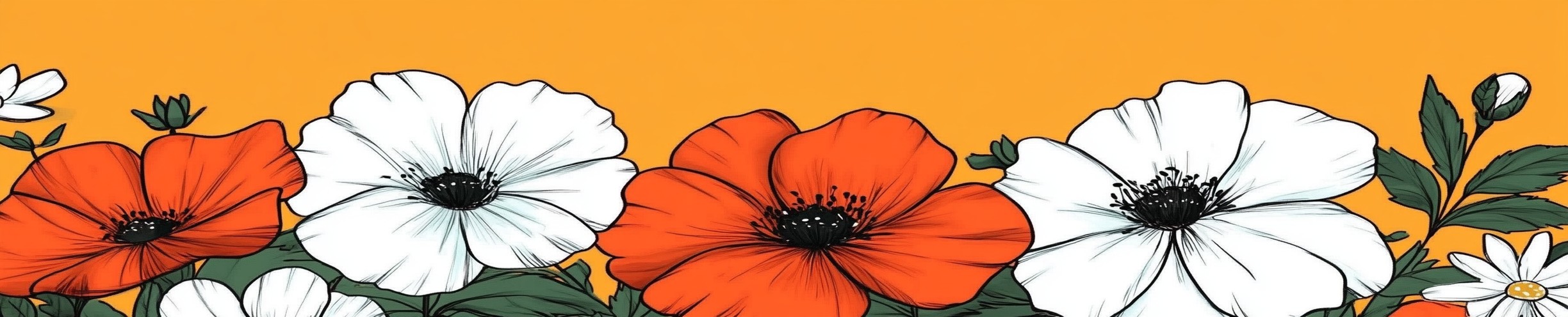 Graphics, Wildflower, Pedicel, Floral design, Poppies, Geraniums, Graphic design