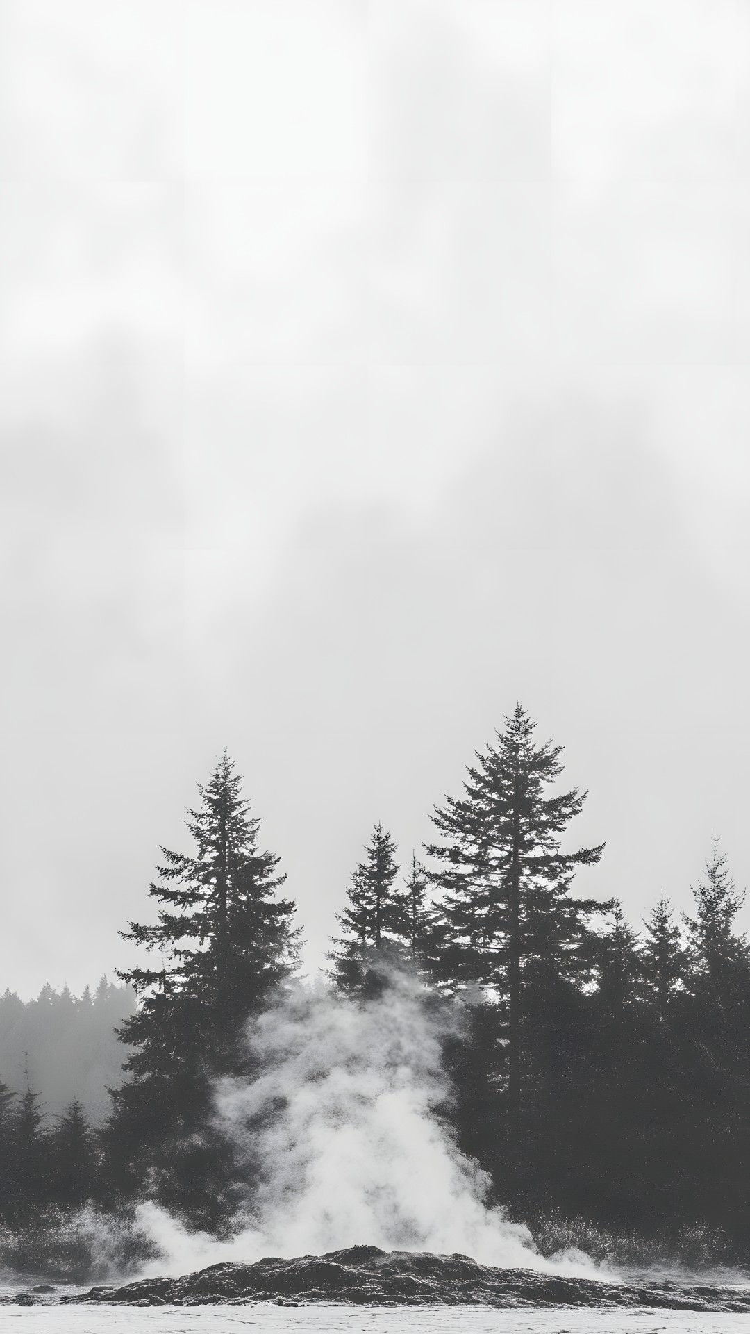 atmospheric phenomenon, Monochrome photography, Spruce-fir forests, Forest, Larch, Monochrome, Black and white, Woody plant, Mist, Fog, Winter, Tropical and subtropical coniferous forests, Conifers, Evergreen, Old-growth forest, Pine family, Fir, Meteorological phenomenon, Pine, Cupressaceae