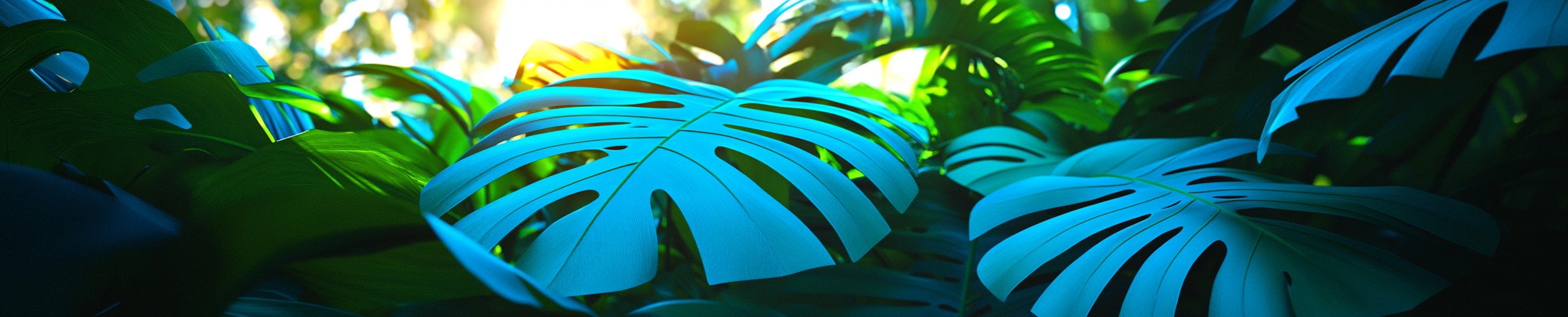 Graphics, Palm trees, Graphic design
