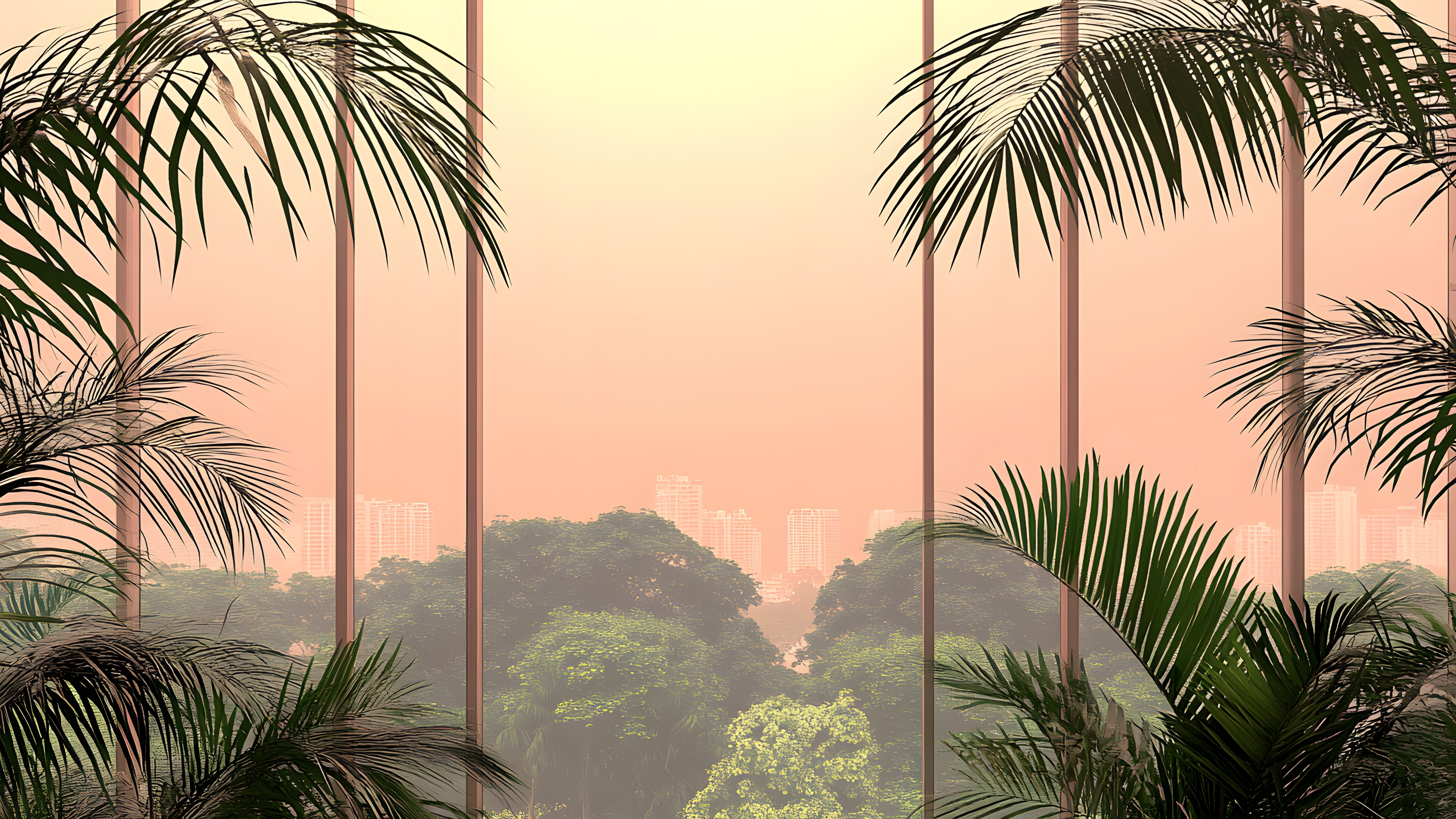 atmospheric phenomenon, Orange, Sunlight, Dusk, Evening, Sunrise, Palm trees, Sunset, High-rise building, California palm, Afterglow, Royal palms, Skyscraper