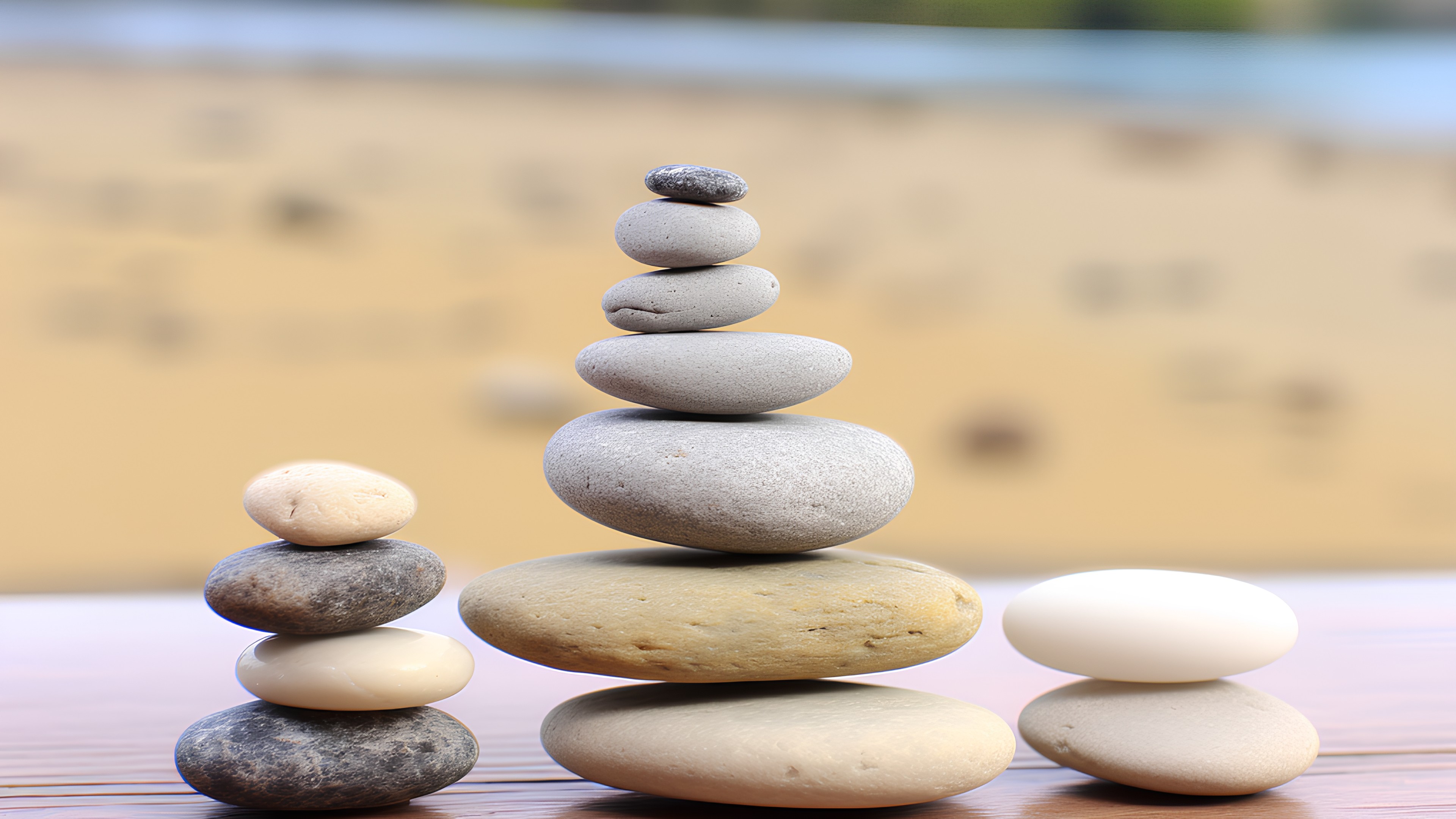 Wood, Tree, Landscape, Sand, Grass, Balance, Natural landscape, Art, Soil, Rock, Circle, Horizon, Bedrock, Pebble, Still life photography