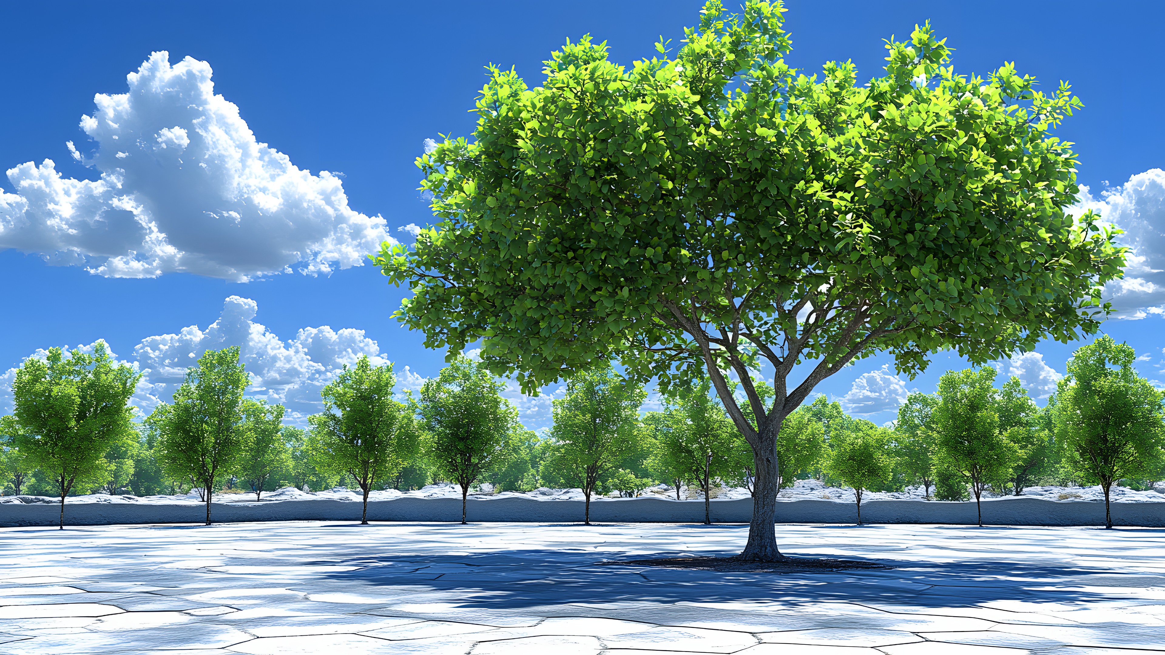 Leaf, Nature, Branch, Vegetation, Spring, Woody plant, Trunk, Shade, Wind