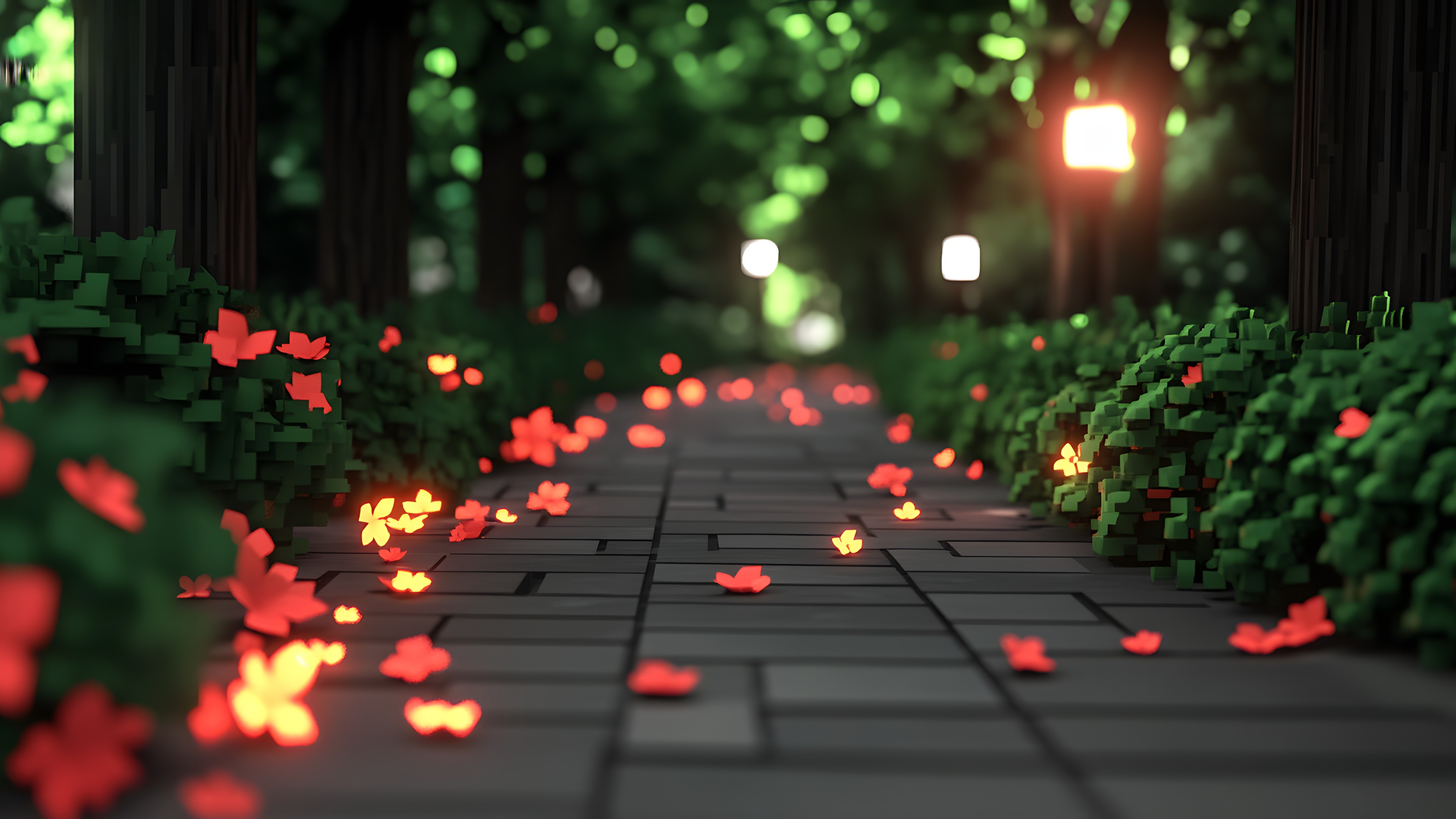 Red, Petal, Night, Geraniums