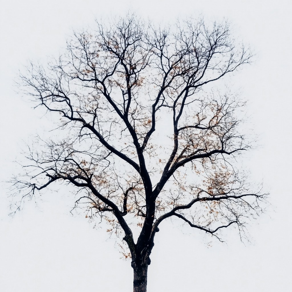 Branch, Twig, atmospheric phenomenon, Trunk, Woody plant