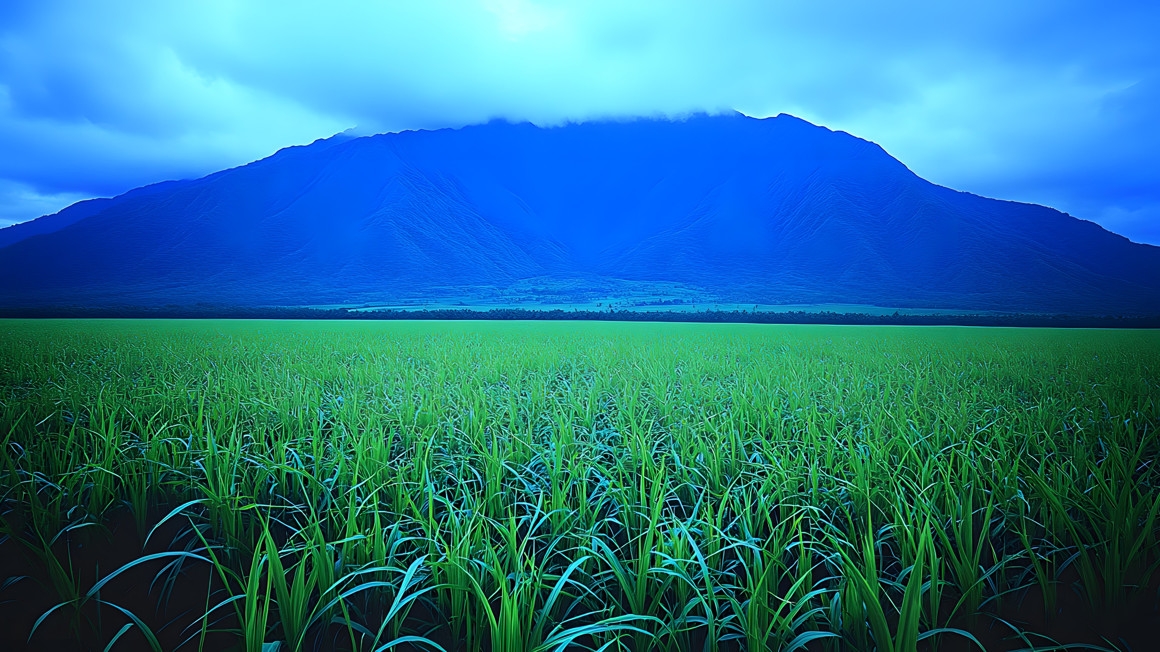 Mountainous landforms, Agriculture, Field, Crop, Grassland, Grasses, Plantation, Mountain range, Paddy field, Prairie, Meadow, Farm, Steppe, Ridge, Summit, Mount Scenery, Hinterland