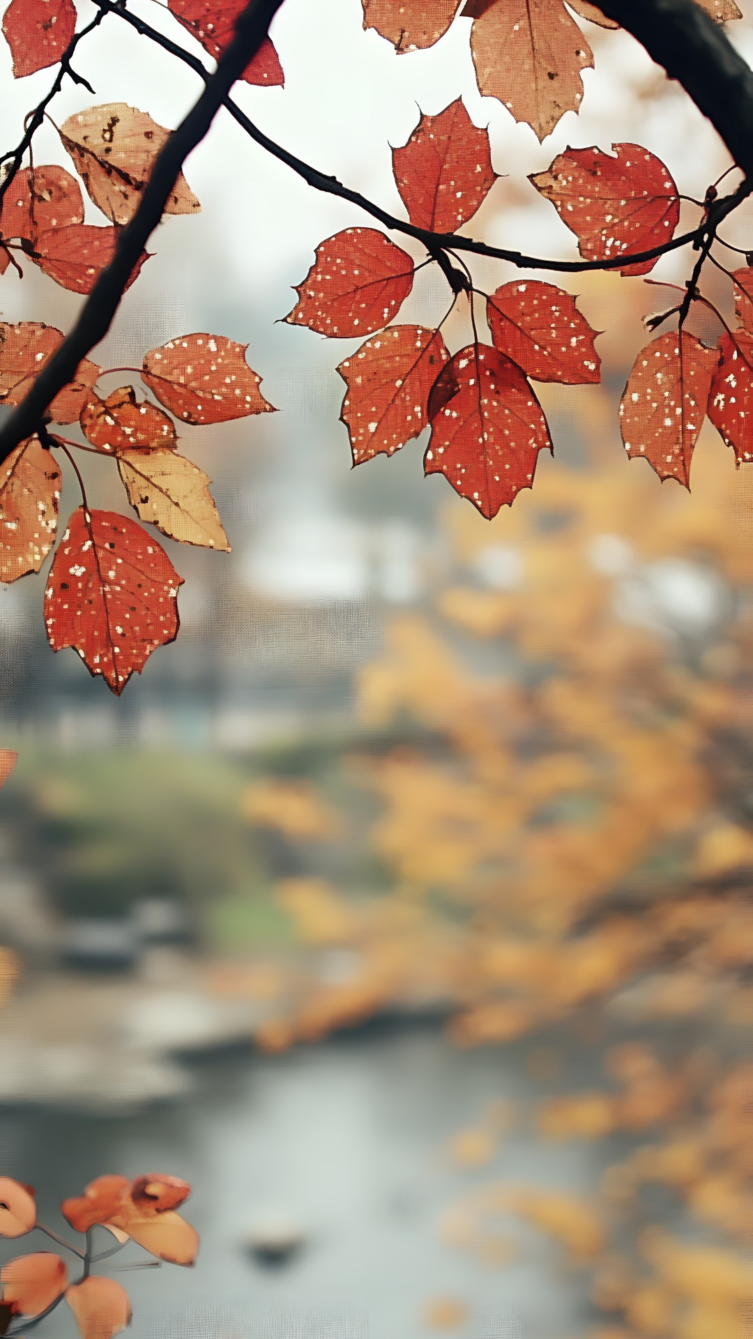 Leaf, Red, Branch, Yellow, Orange, Twig, Autumn, Woody plant, Maple, Maple leaf