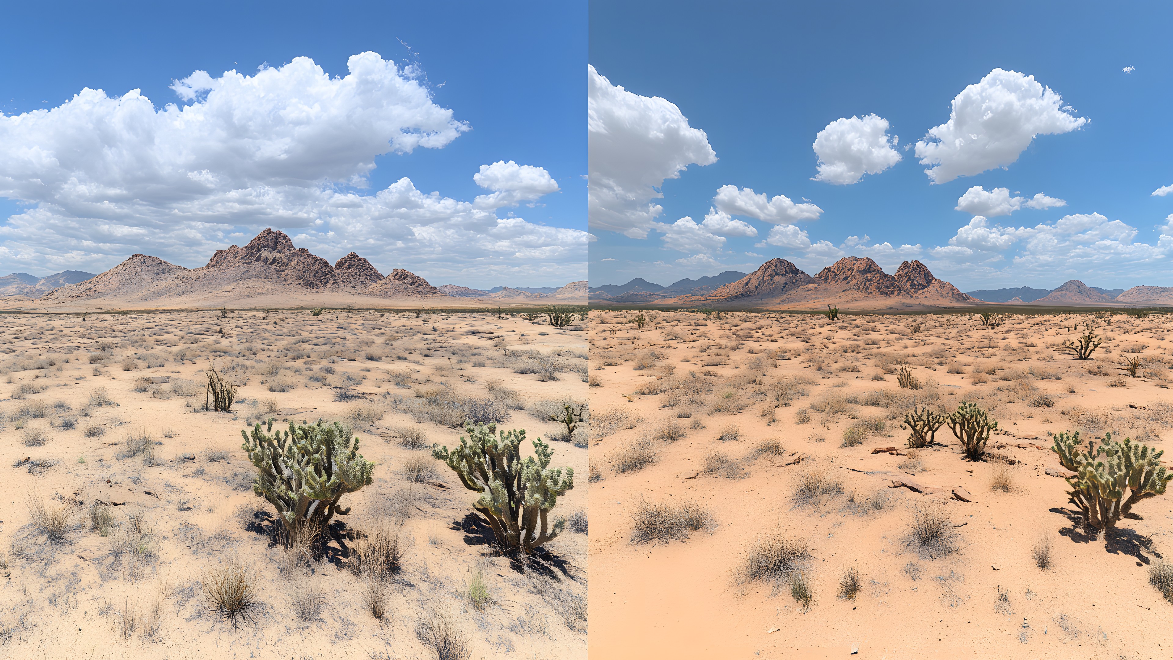 Ecoregion, Cloud, Terrain, Desert, Shrubland, Badlands, Cumulus, Steppe, Savanna, Aeolian landform, Panorama, Outcrop, Meteorological phenomenon, Plateau, Tundra, Erosion, National park, Chaparral, Batholith