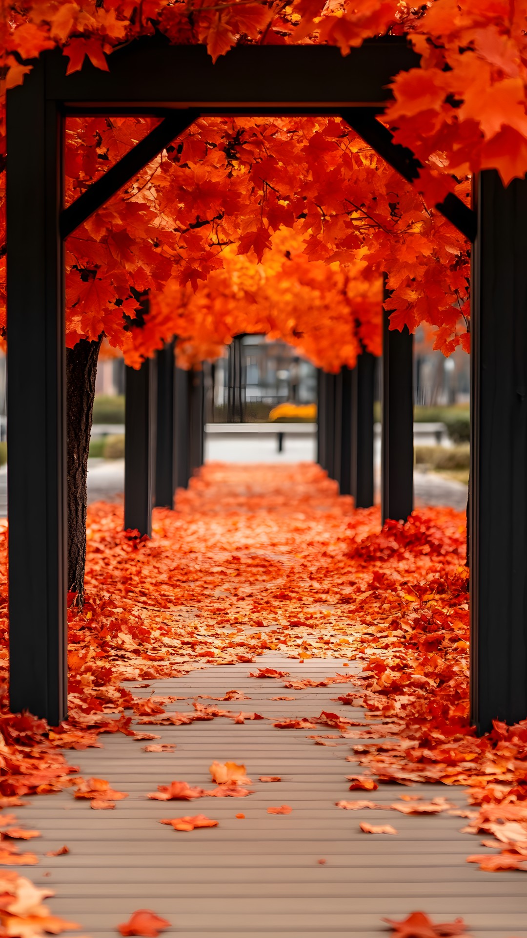 Plant, Light, Botany, Leaf, Natural landscape, Tree, Natural environment, Branch, Orange, Amber, Lighting, Vegetation, Architecture, Sunlight, Water, Biome, Line, Deciduous, Woody plant, Red