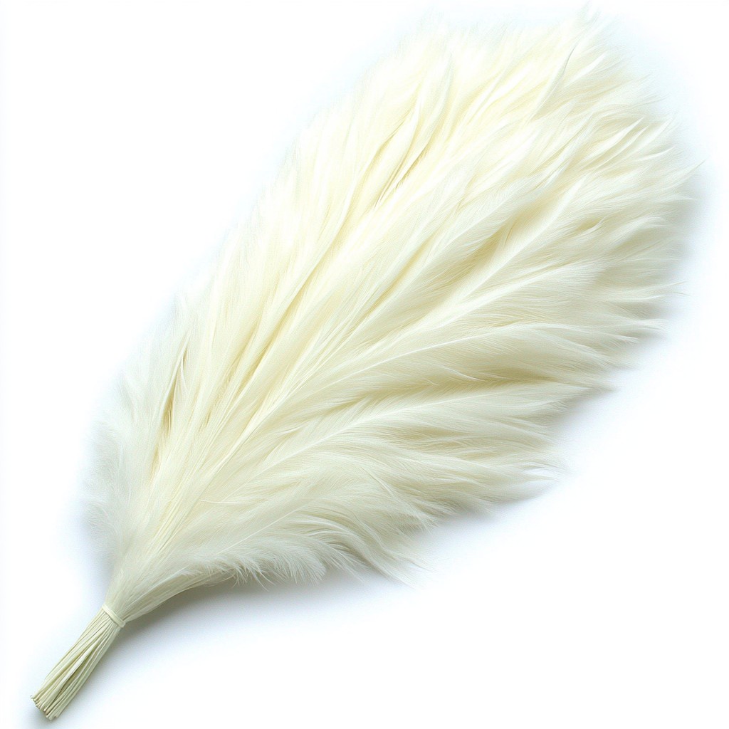 White, Feather, Natural material, Animal product, Fur, Quill