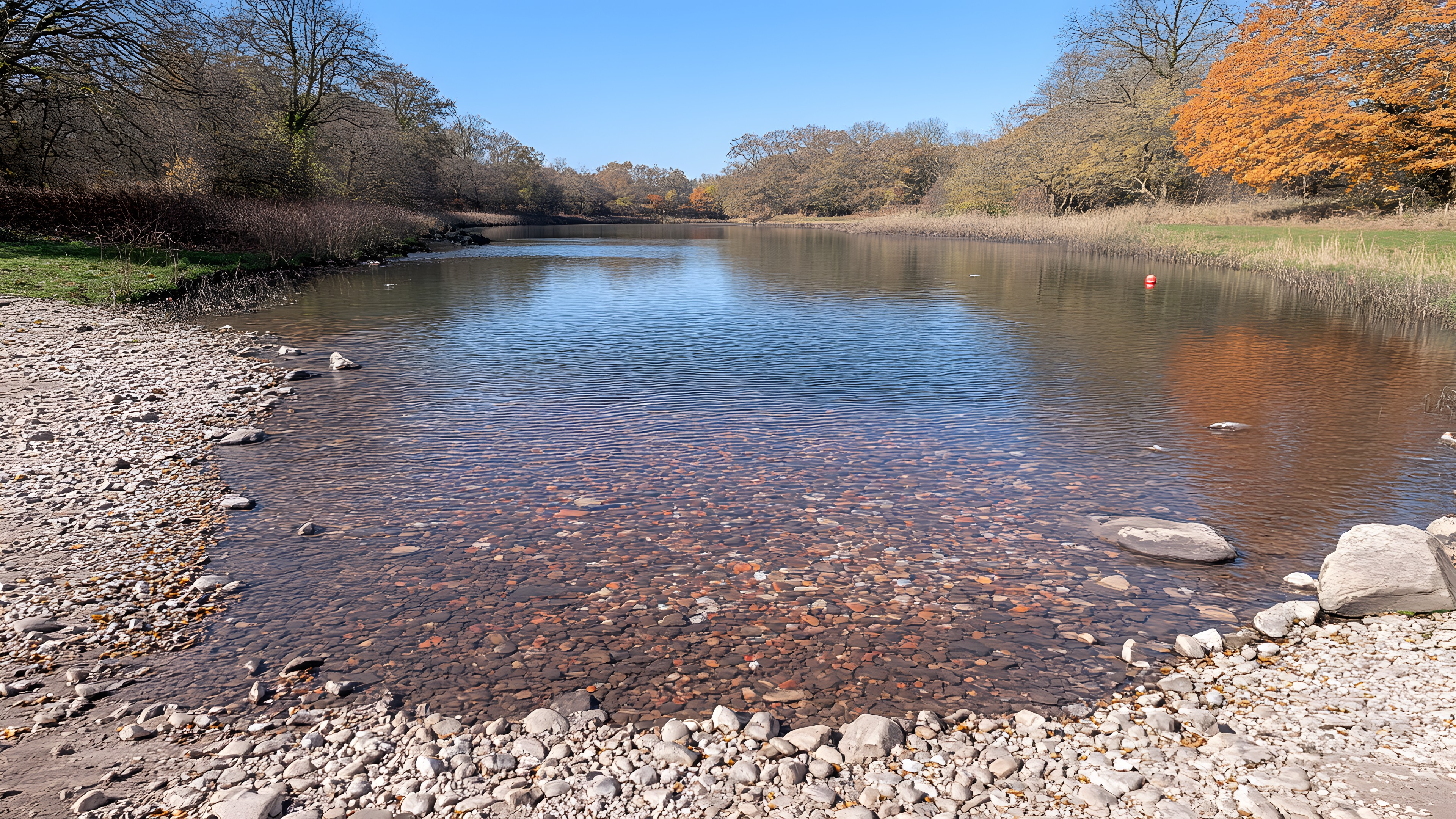 Water, Plant, Water resources, Sky, Natural landscape, Natural environment, Fluvial landforms of streams, Tree, Lake, Vegetation, Watercourse, Lacustrine plain, Body of water, Bank, Landscape, Riparian zone, Waterway, Deciduous, Forest, Stream