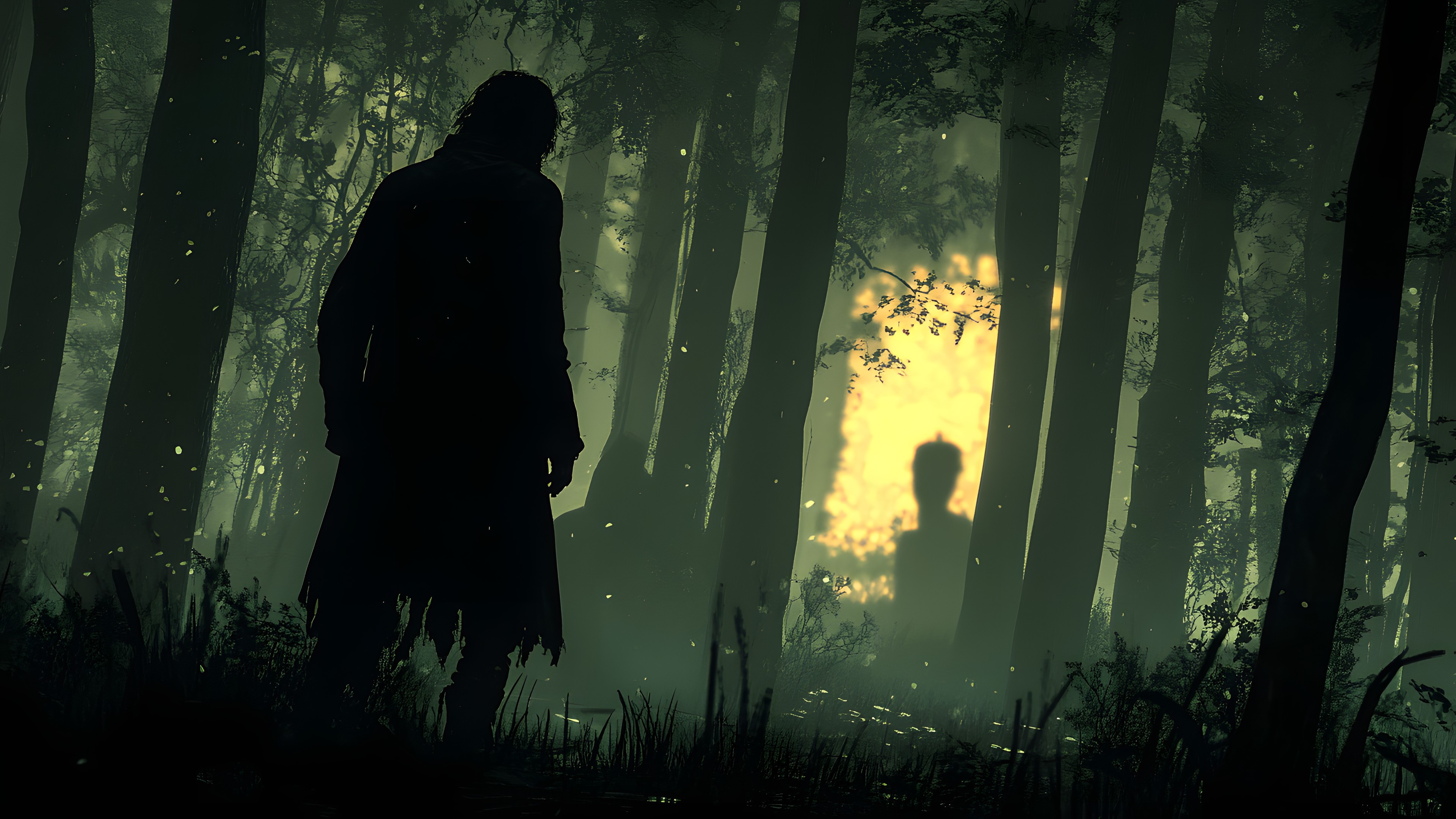 atmospheric phenomenon, Forest, People in nature, Darkness, Jungle, Woodland, Old-growth forest, Mist, Backlighting, Haze, Night, Fog, Walking, Grove, Northern hardwood forest, Evening, Digital compositing, Lens flare, Rainforest, Animation