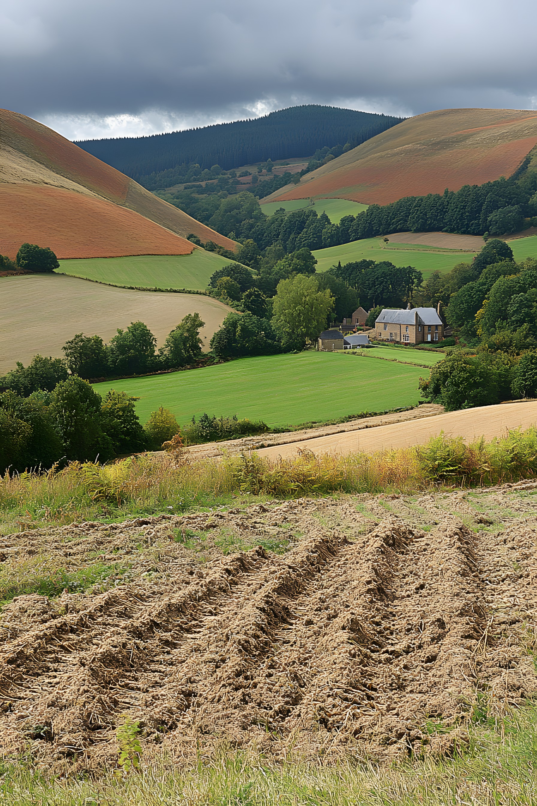 Grass, Hill, Natural landscape, Grassland, Highland, Plain, Field, Rural area, Land lot, Grasses, Agriculture, Pasture, Plantation, Steppe, Fell, Hill station, Valley, Meadow, Prairie, Farm