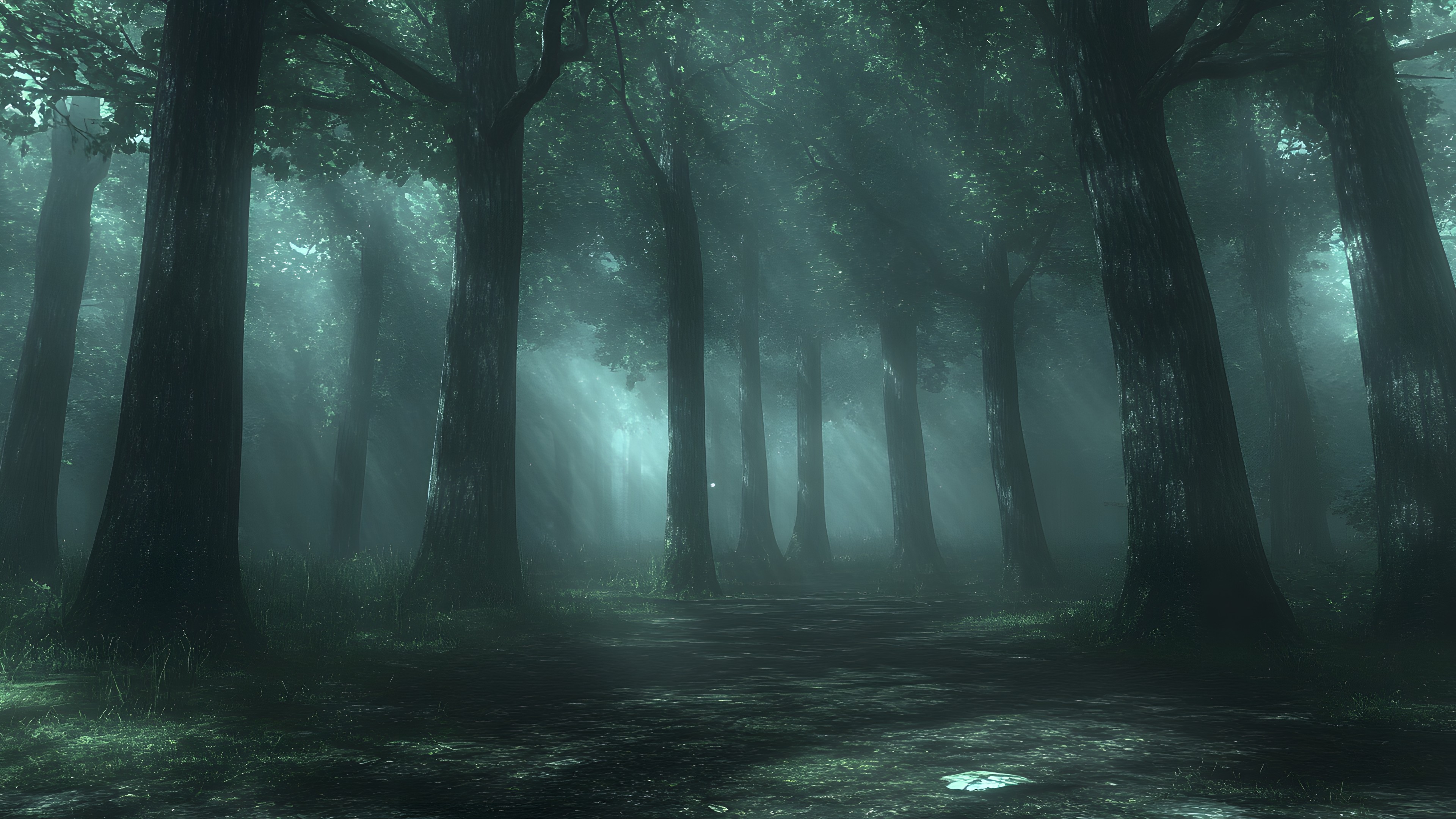 Natural environment, Nature, atmospheric phenomenon, Wood, Branch, Forest, Mist, Fog, Woodland, Trunk, Jungle, Grove, Old-growth forest, Northern hardwood forest, Woody plant, Haze, Darkness, Spruce-fir forests, Temperate broadleaf and mixed forest, Rainforest