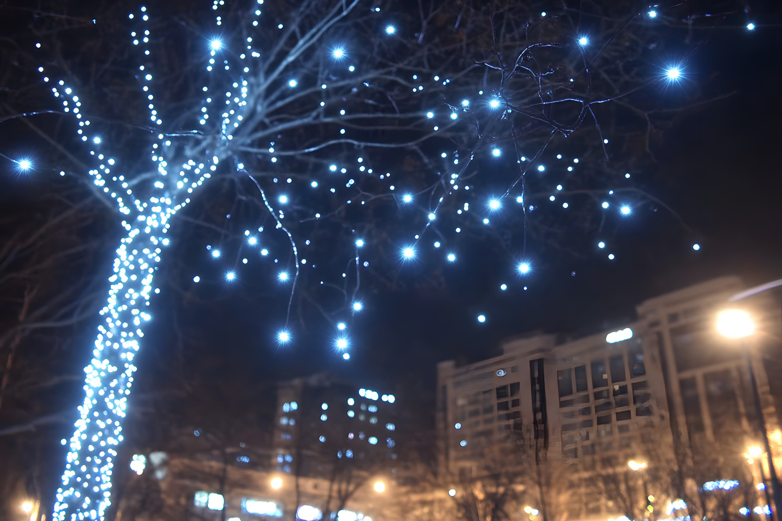 Night, Electricity, Lighting, Midnight, Christmas lights, Darkness, Christmas decoration, Holiday, Electrical Supply, Winter, Festival, Christmas Day