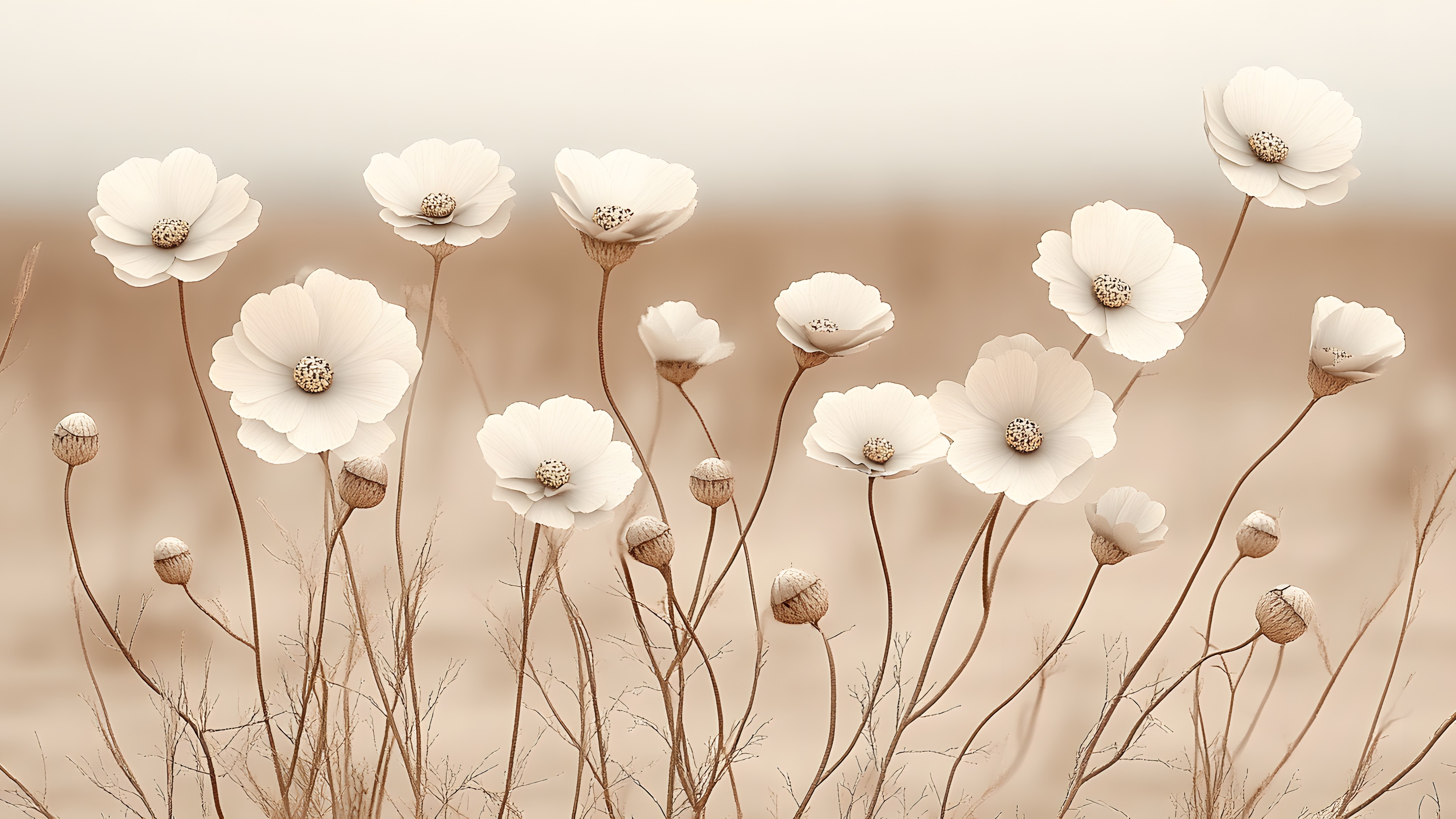 Flower, Petal, Flowering plant, Wildflower, Pedicel, Plant stem, Herbaceous plant, Blossom, Poppies, Still life photography, Floral design, Anemone, Pollen, Geraniums