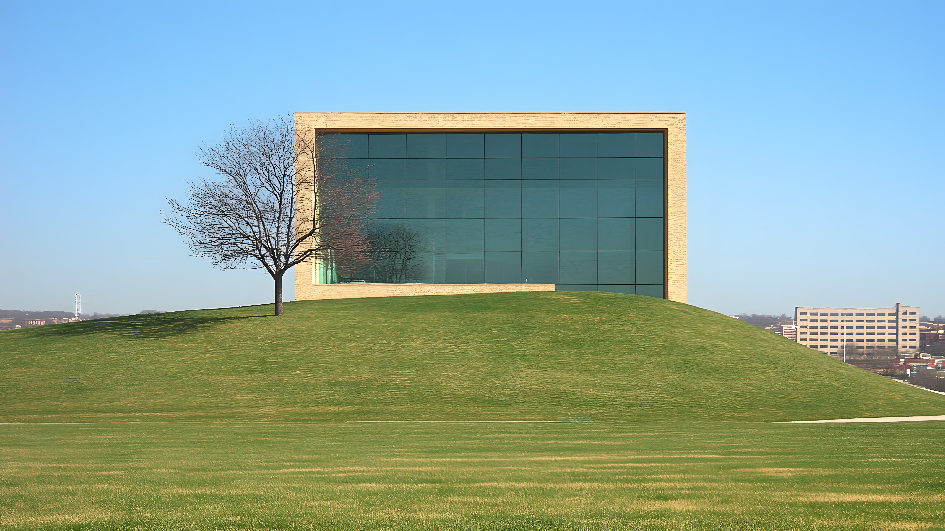 Daytime, Grass, Grassland, Plain, Land lot, Landscape, Grasses, Lawn, Meadow, Morning, Sunlight, Pasture, Field, Prairie, Artificial turf, Landscaping, Meteorological phenomenon, Campus, Shadow