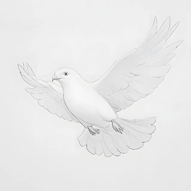 White, Bird, Beak, Wing, Feather, Line art, Peace symbols, Sketch, Pigeons and doves, Tail, Peace, Flight