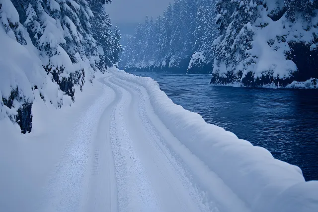 Snow, Winter, Branch, geological phenomenon, Freezing, Frost, Slope, Ice, Larch, Spruce-fir forests, Glacial landform, Conifers, Evergreen, Fir, Pine, Pine family, Cupressaceae, Precipitation, Ice cap, Winter storm