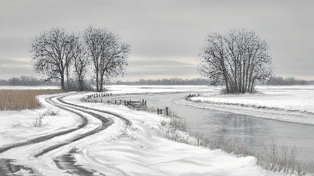 Winter, White, Snow, Monochrome photography, Natural landscape, atmospheric phenomenon, Plain, Freezing, Monochrome, Black and white, Frost, Morning, Twig, Ice, Fluvial landforms of streams, Precipitation, Still life photography, Wetland, Stream, Winter storm